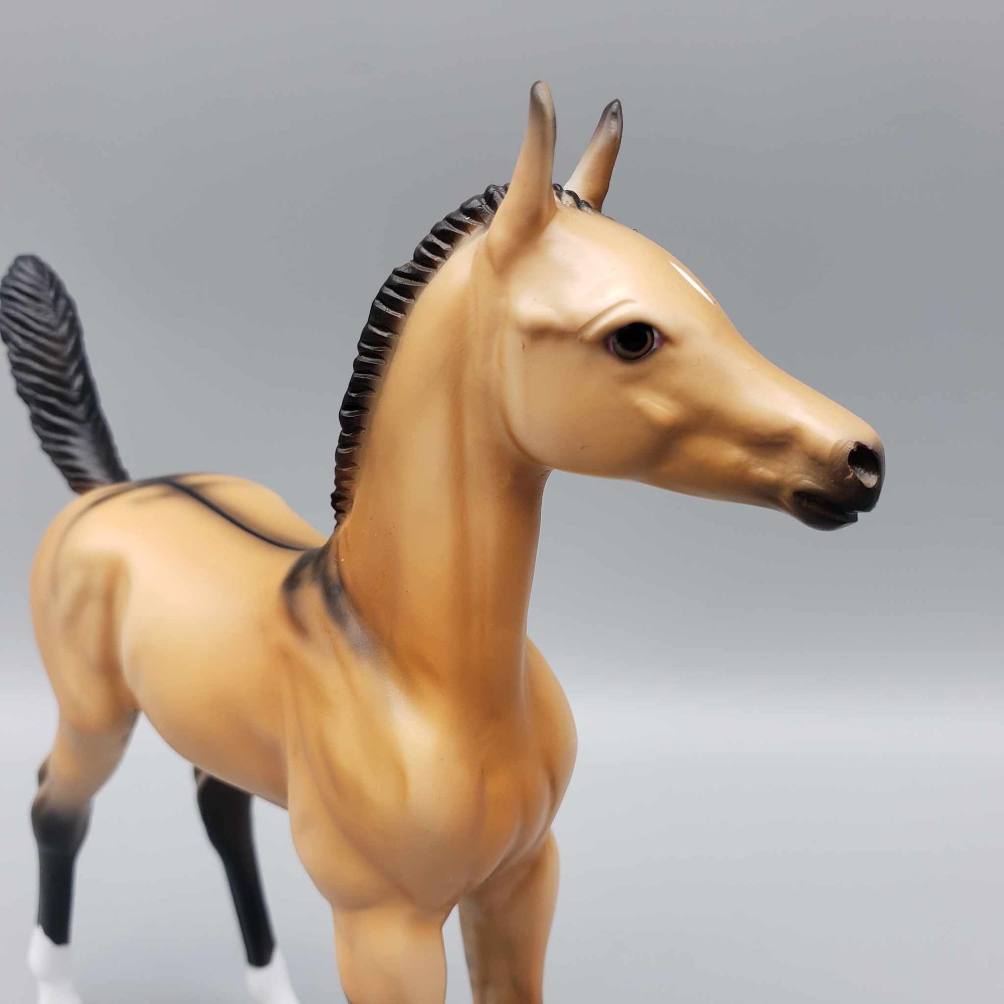 Ashton OOAK Dun Arab Foal By Dawn Quick Fall Into Autumn Random Drop Sale 9/23