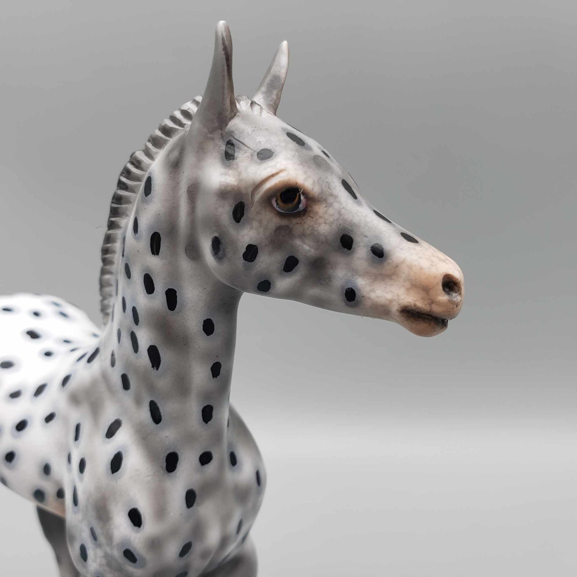 Pebbles OOAK Appaloosa Arab Foal By Dawn Quick Fall Into Autumn Random Drop Sale 9/23