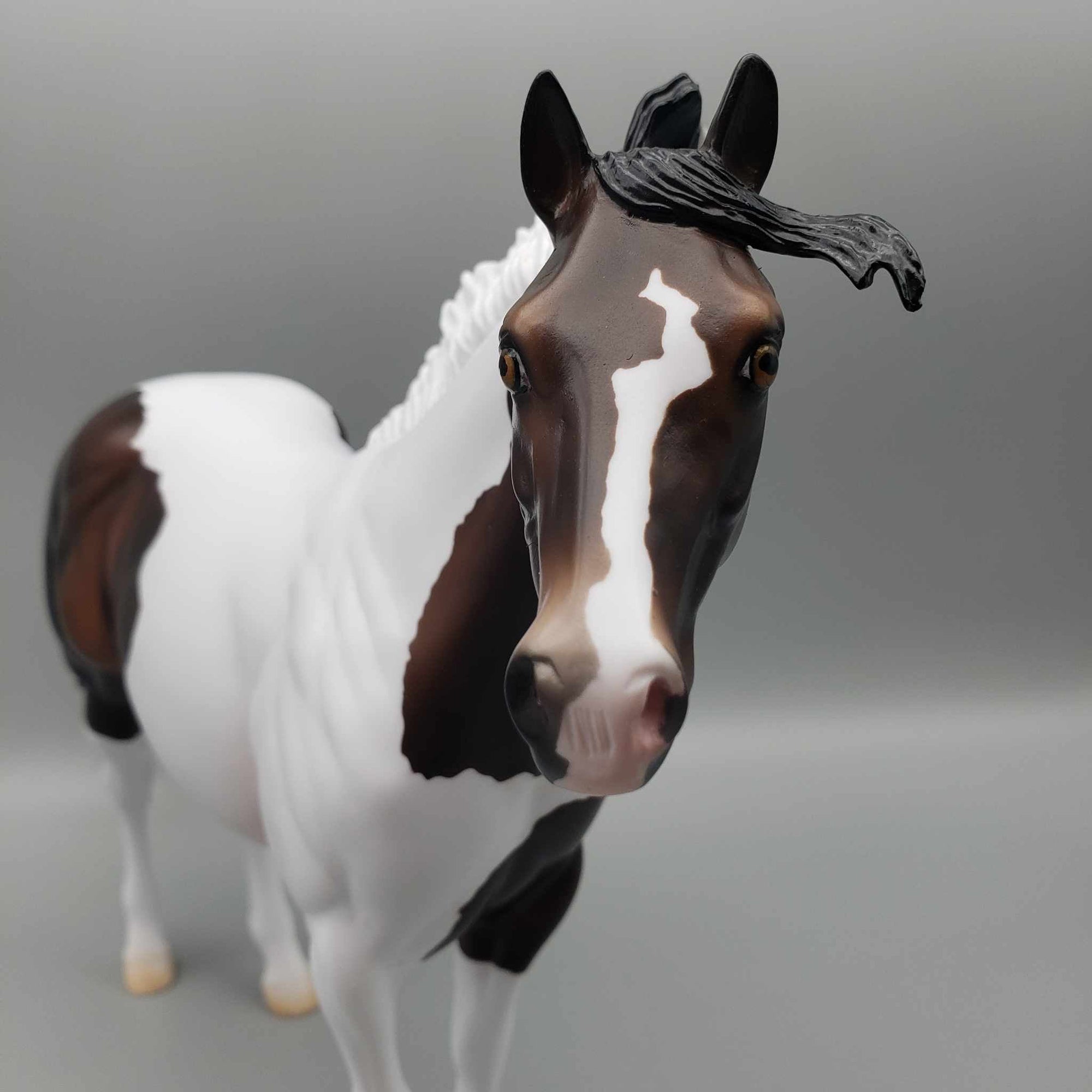 Kokomo Bay Tobiano Custom Ideal Stock Horse with Optional Paint Splashes by Ashley Palmer and Ellen Robbins AoTH23