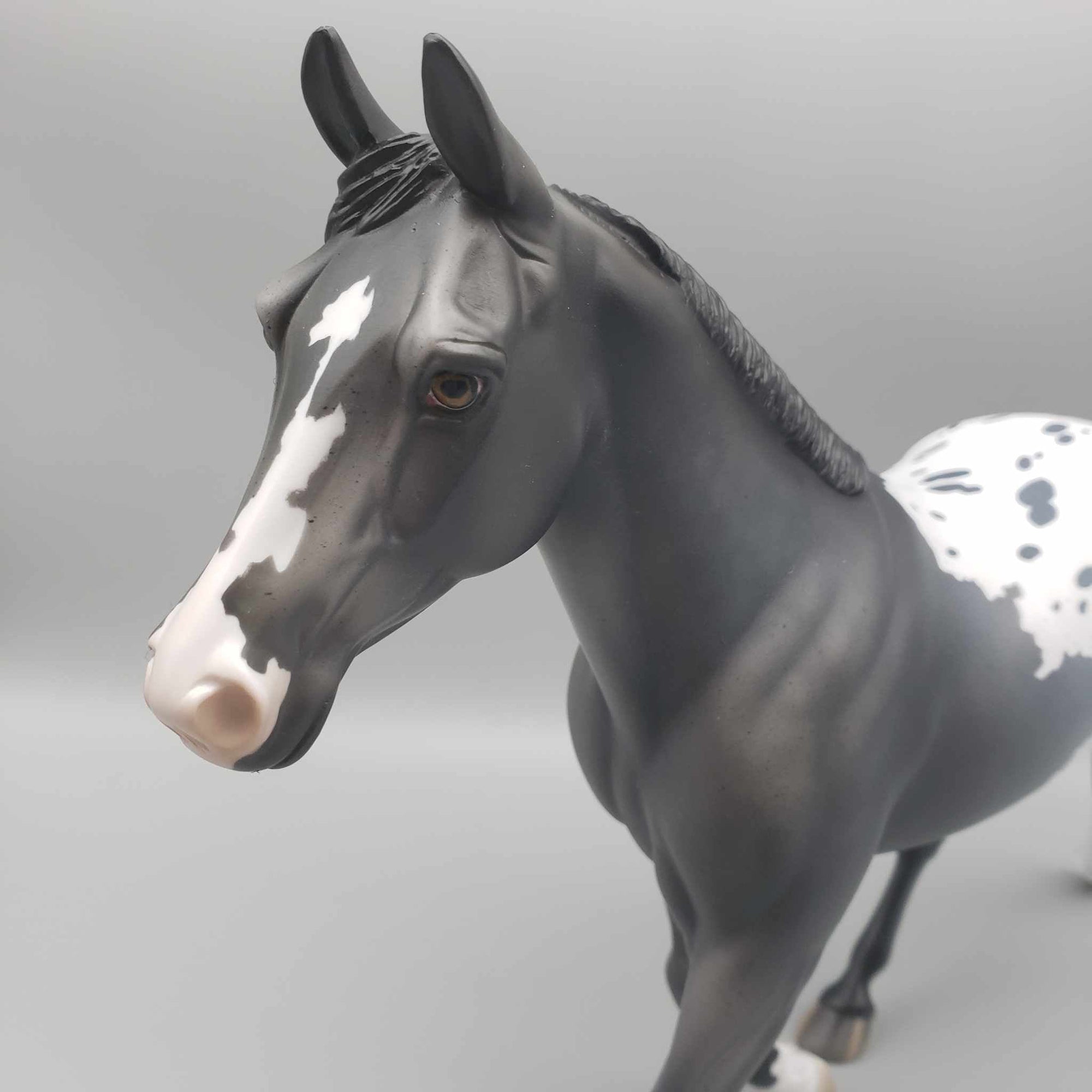 Cipriana OOAK Grey Appaloosa Palouse By Jess Hamill Fall Into Autumn Random Drop Sale 9/23