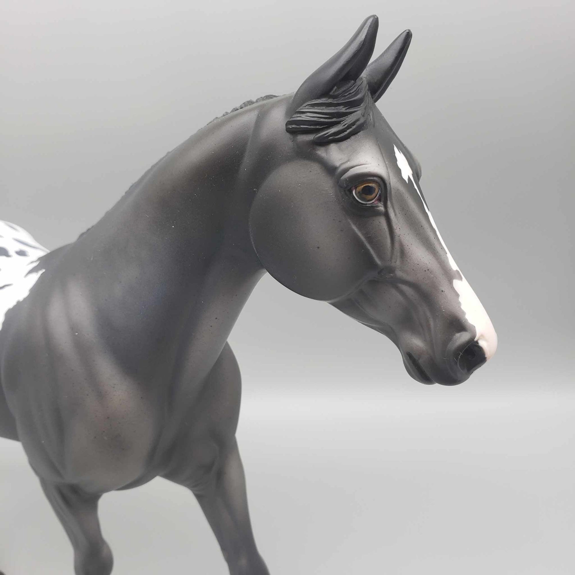 Cipriana OOAK Grey Appaloosa Palouse By Jess Hamill Fall Into Autumn Random Drop Sale 9/23