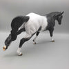 Corrado OOAK Running Stock Horse By Dawn Quick Fall Into Autumn Random Drop Sale 9/23
