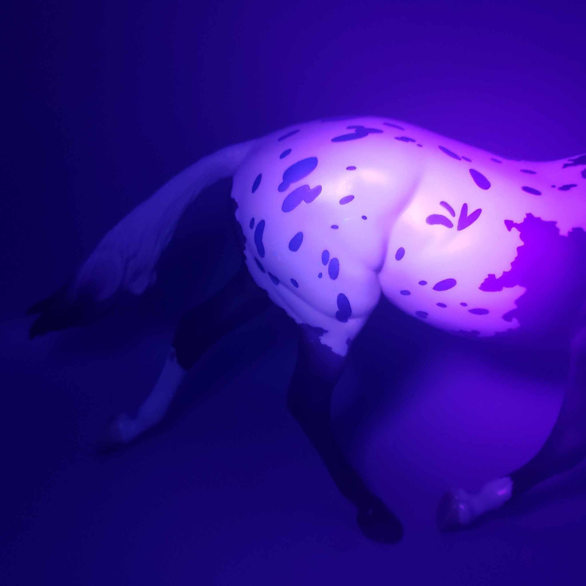 Cipriana OOAK Grey Appaloosa Palouse By Jess Hamill Fall Into Autumn Random Drop Sale 9/23