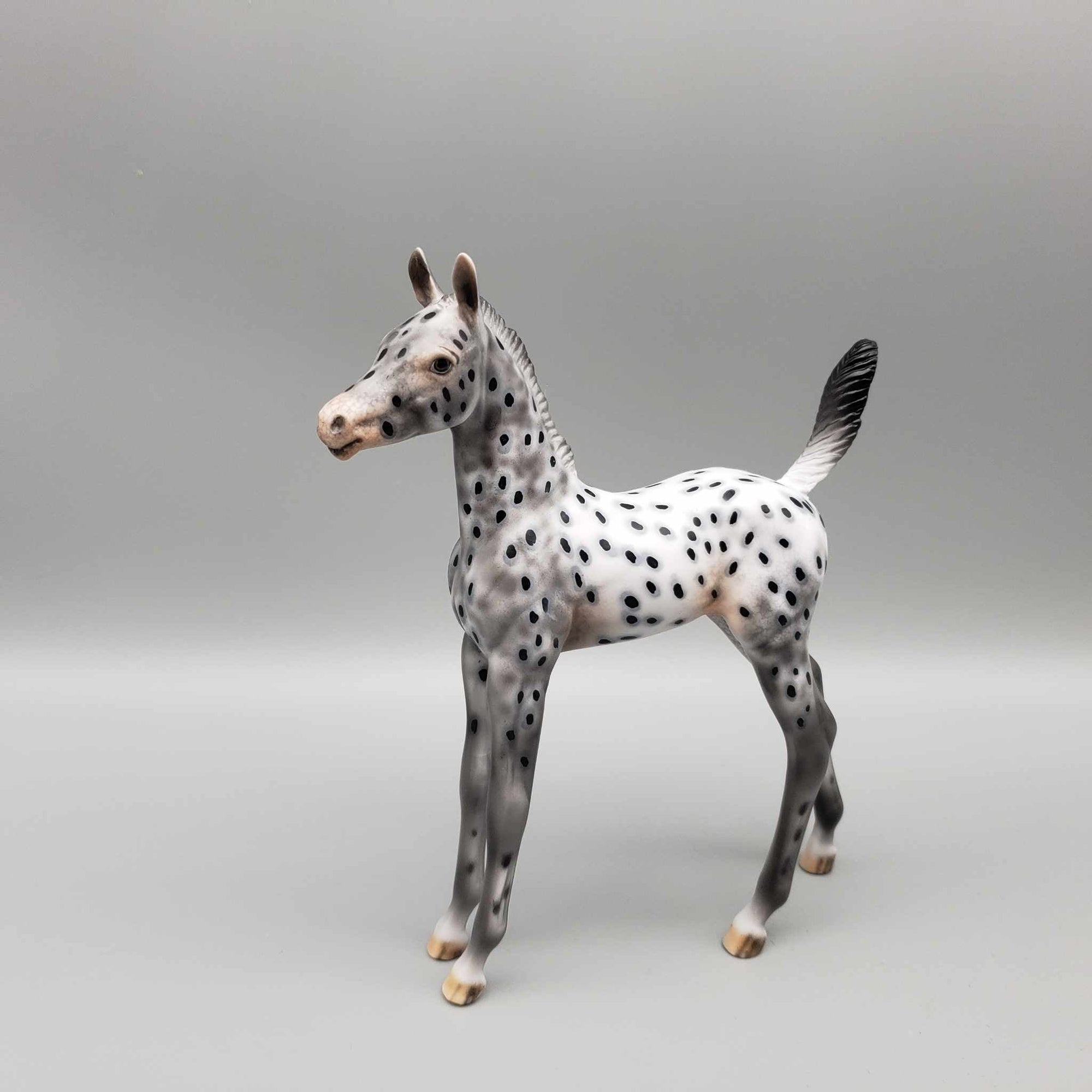 Pebbles OOAK Appaloosa Arab Foal By Dawn Quick Fall Into Autumn Random Drop Sale 9/23