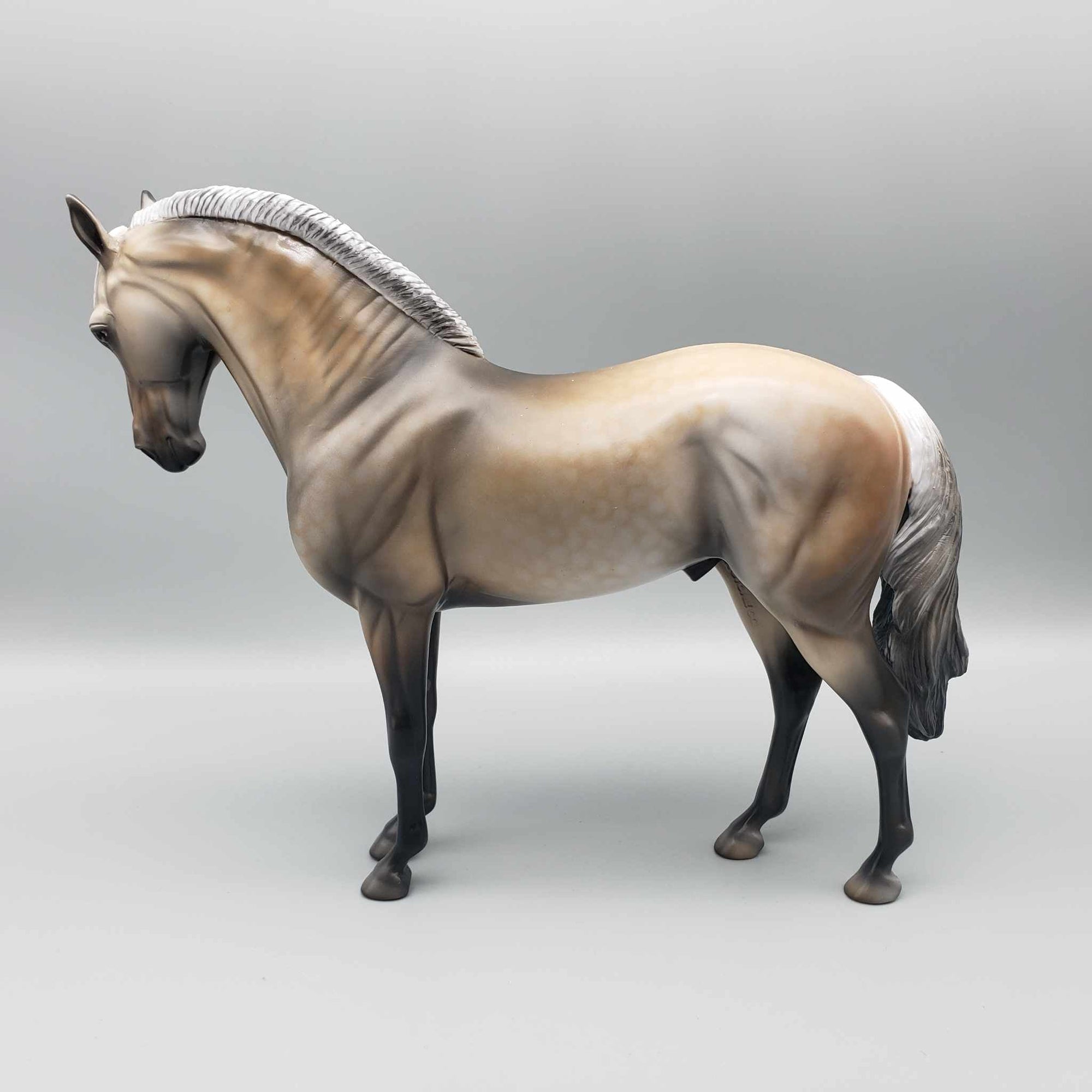 Biondello OOAK Buckskin Going Grey Andalusian By Dawn Quick MM23