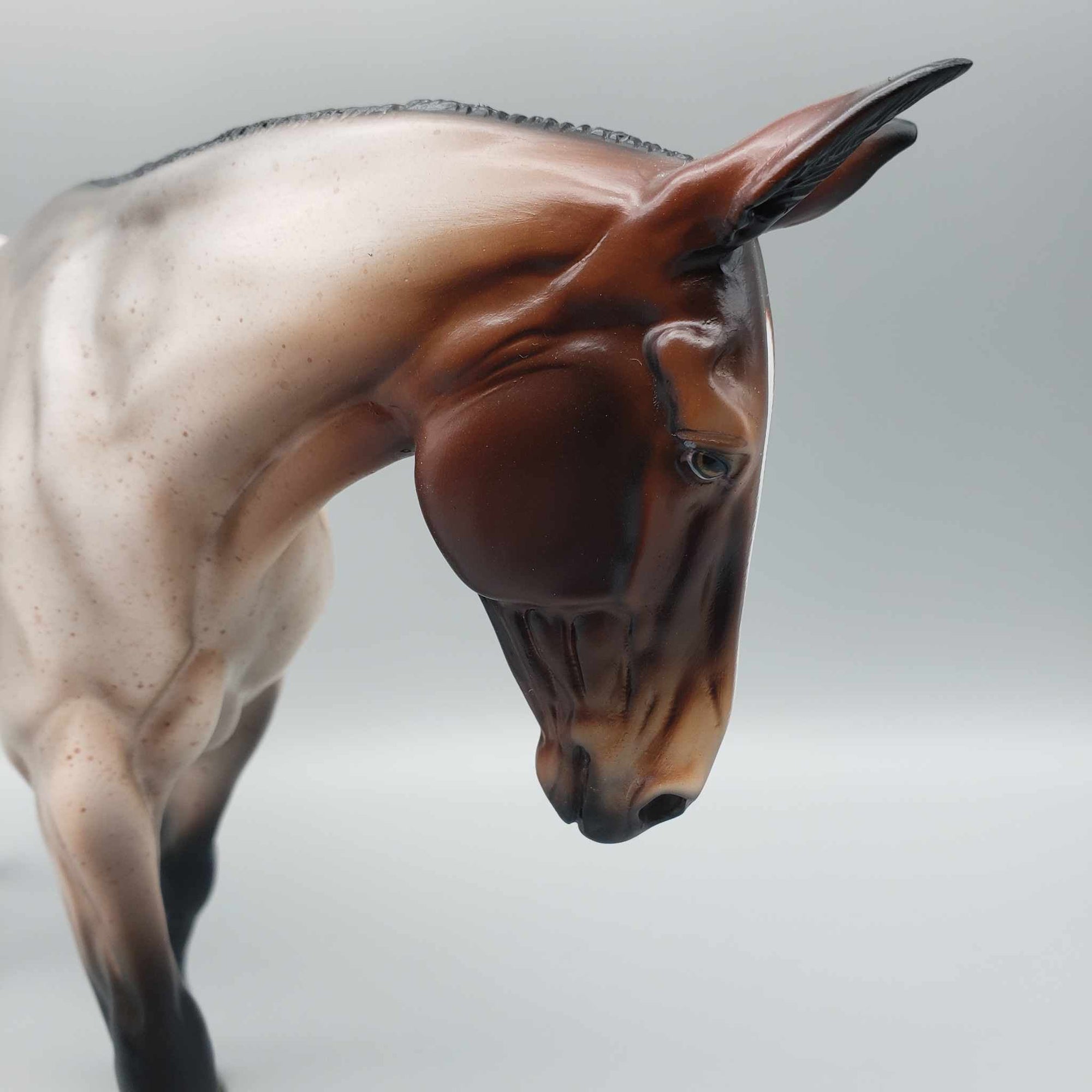 Hibiscus OOAK Appaloosa Custom Mule by Angela Marleau Facebook Auctions 9/23