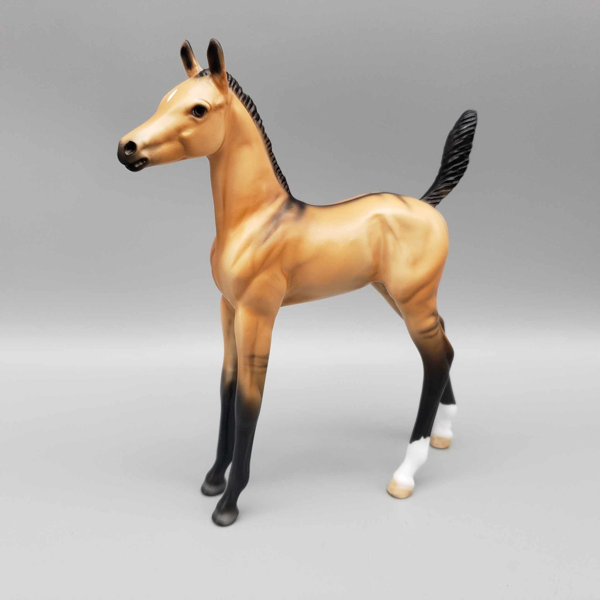 Ashton OOAK Dun Arab Foal By Dawn Quick Fall Into Autumn Random Drop Sale 9/23