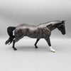 Cirrillo OOAK Blue Roan Running Stock Horse by Angela Marleau Fall Into Autumn Random Drop Sale 9/23