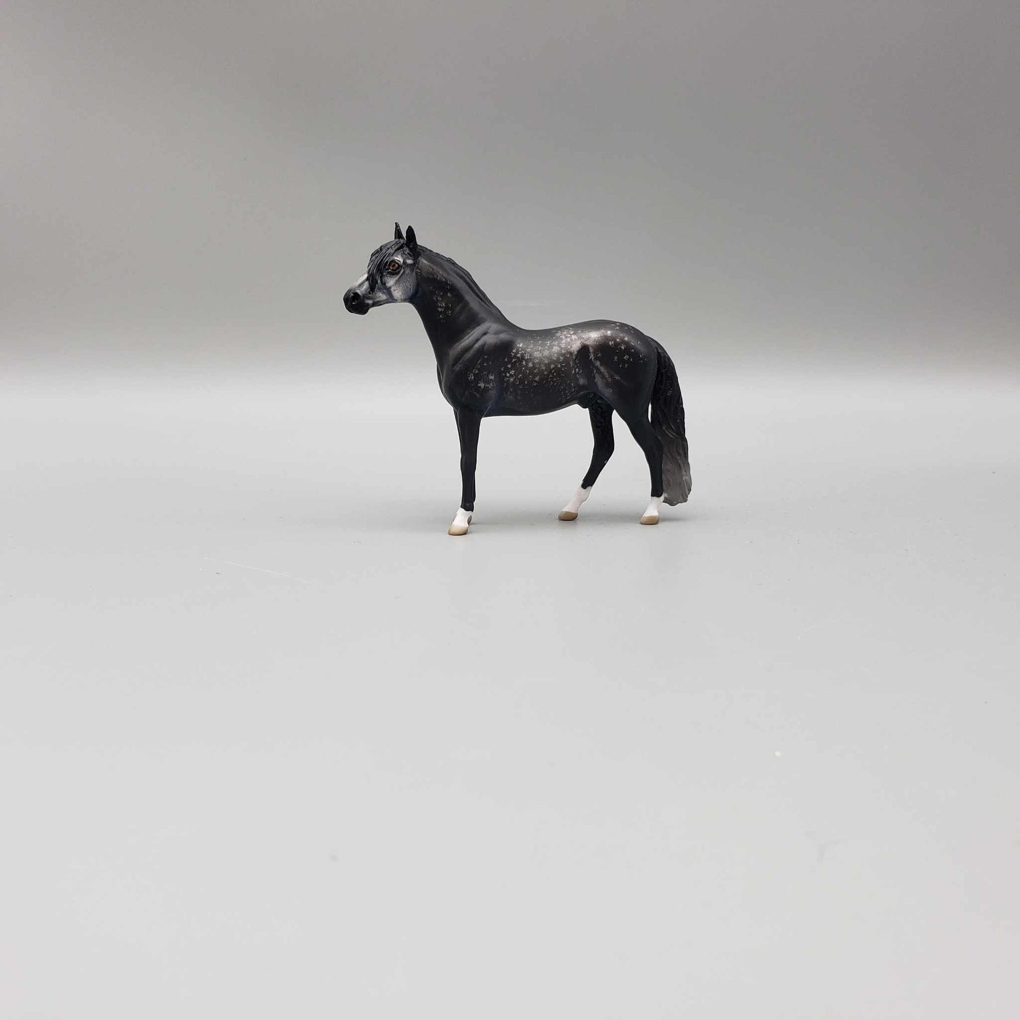 Hortensio OOAK Etched Dark Dappled Grey Andalusian Chip By Jess Hamill Fall Into Autumn Random Drop Sale 9/23