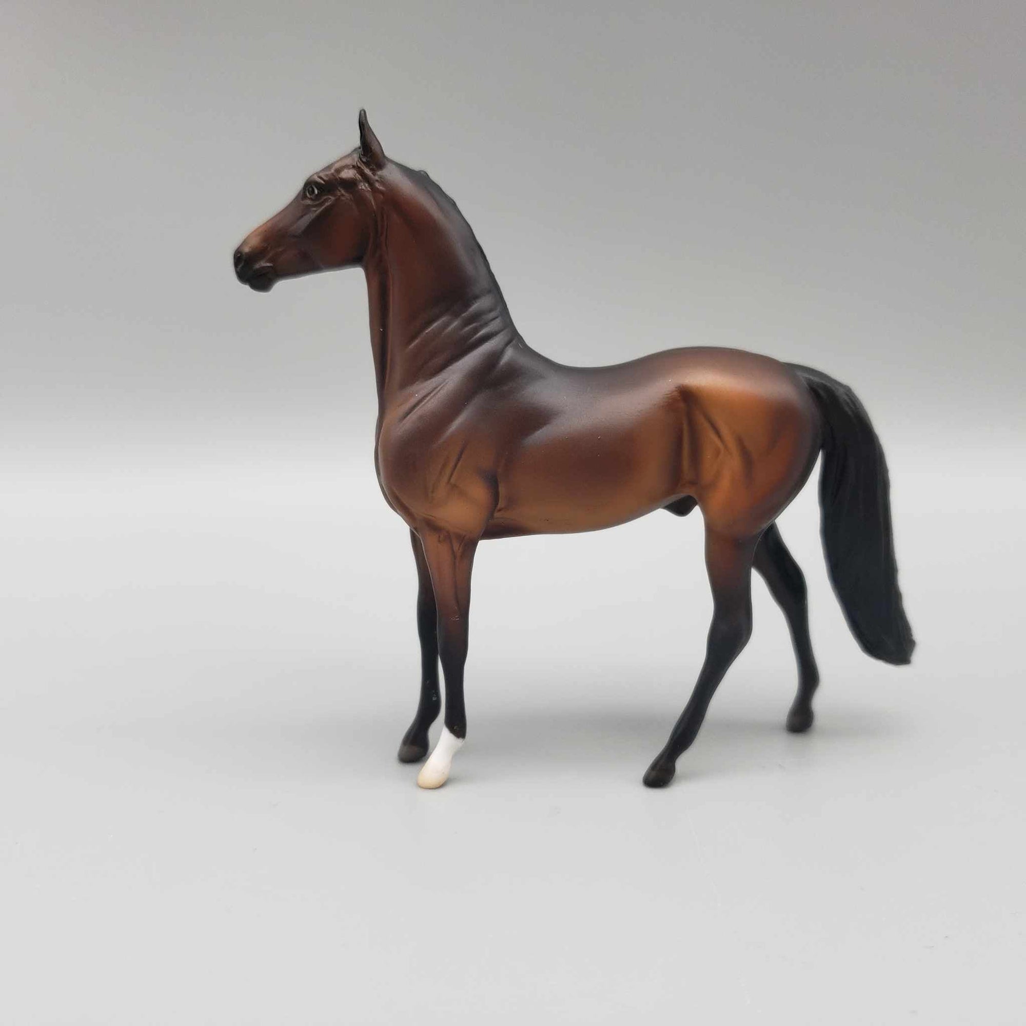 Martino OOAK Bay Morgan Chip By Angela Marelau Fall Into Autumn Random Drop Sale 9/23