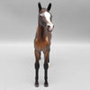 Starborne OOAK Bay Arab Foal By Ashley Palmer Fall Into Autumn Random Drop Sale 9/23
