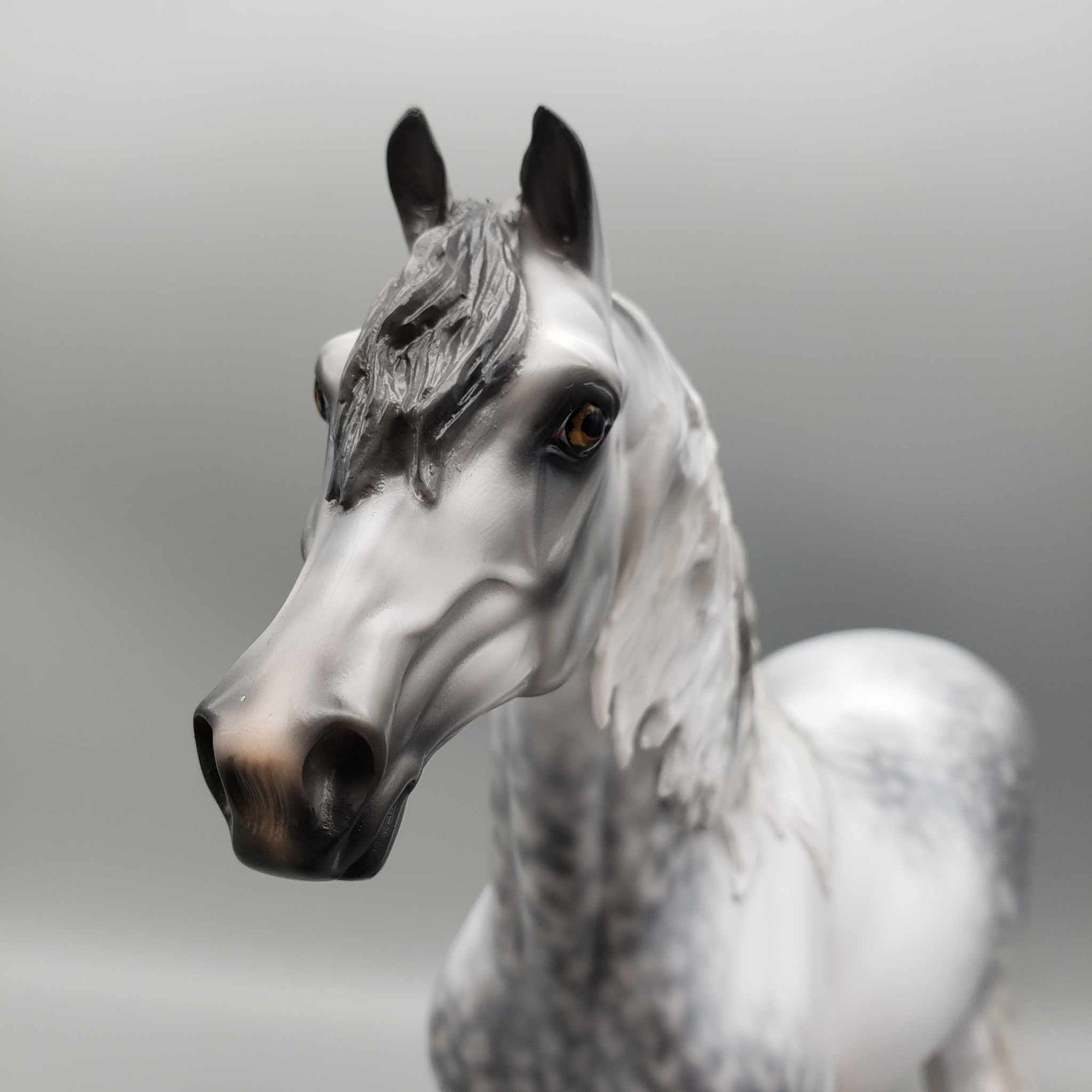 Cainhurst OOAK Dappled Grey Morgan By Jess Hamill Best Offer 11/27/23