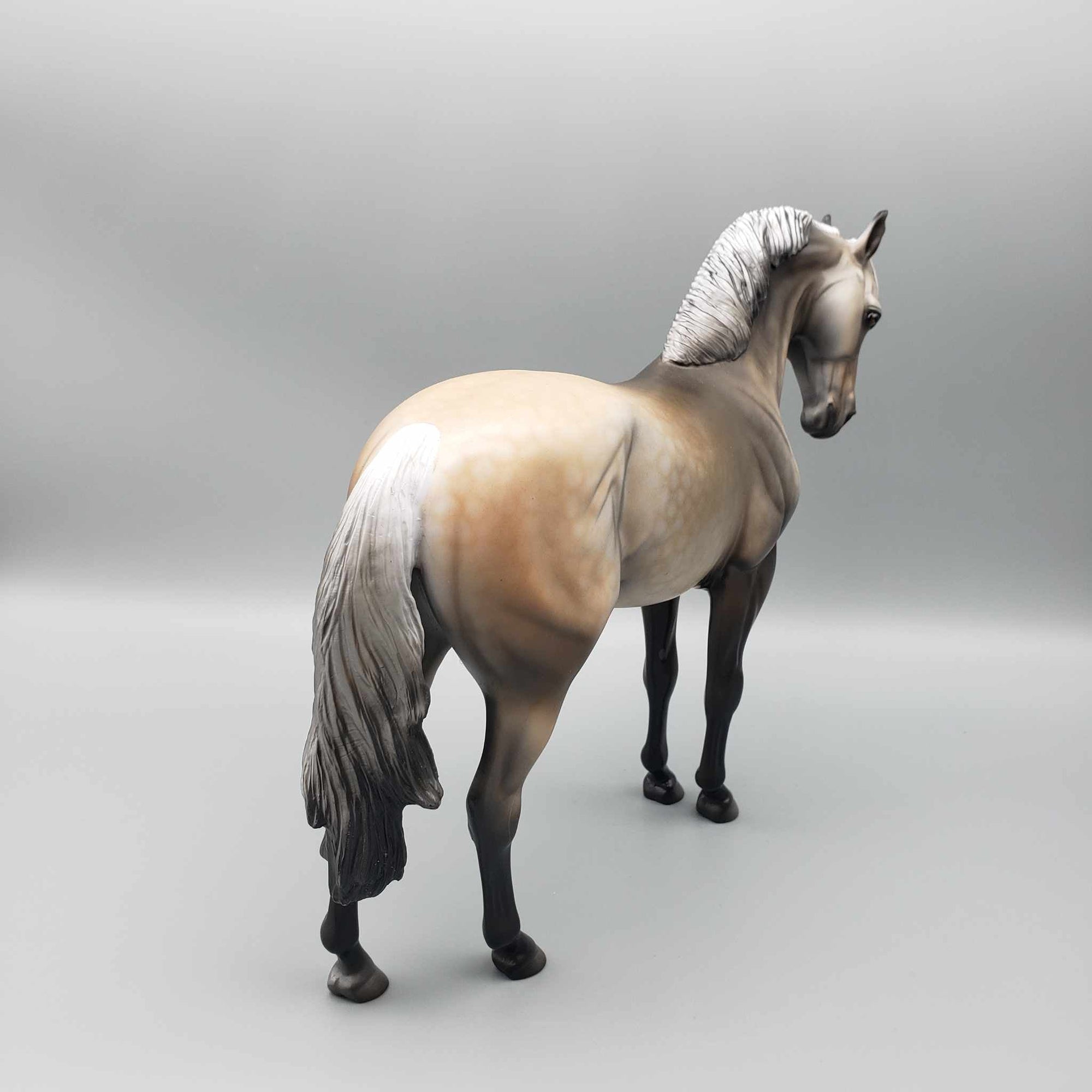 Biondello OOAK Buckskin Going Grey Andalusian By Dawn Quick MM23