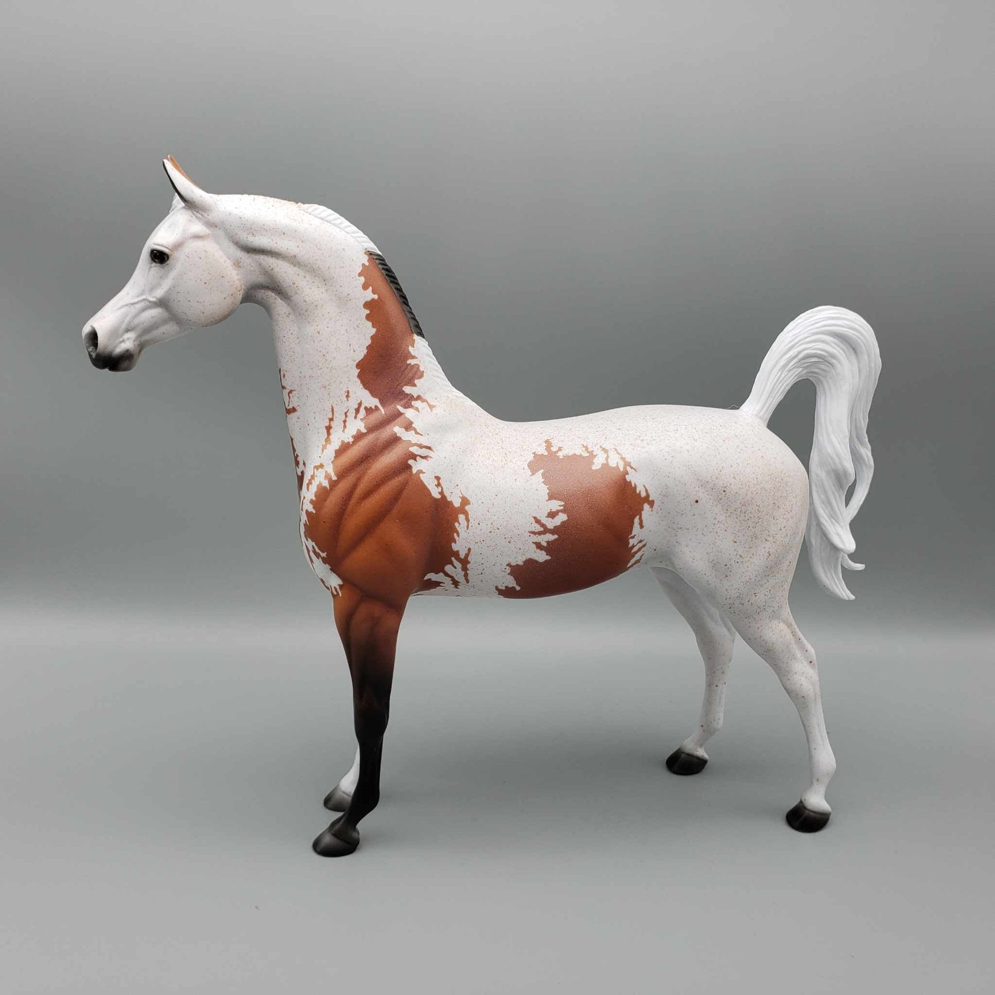 Jersey OOAK Bloody Shoulder Fleabitten Arab Stallion By Dawn Quick Fall Into Autumn Random Drop Sale 9/23