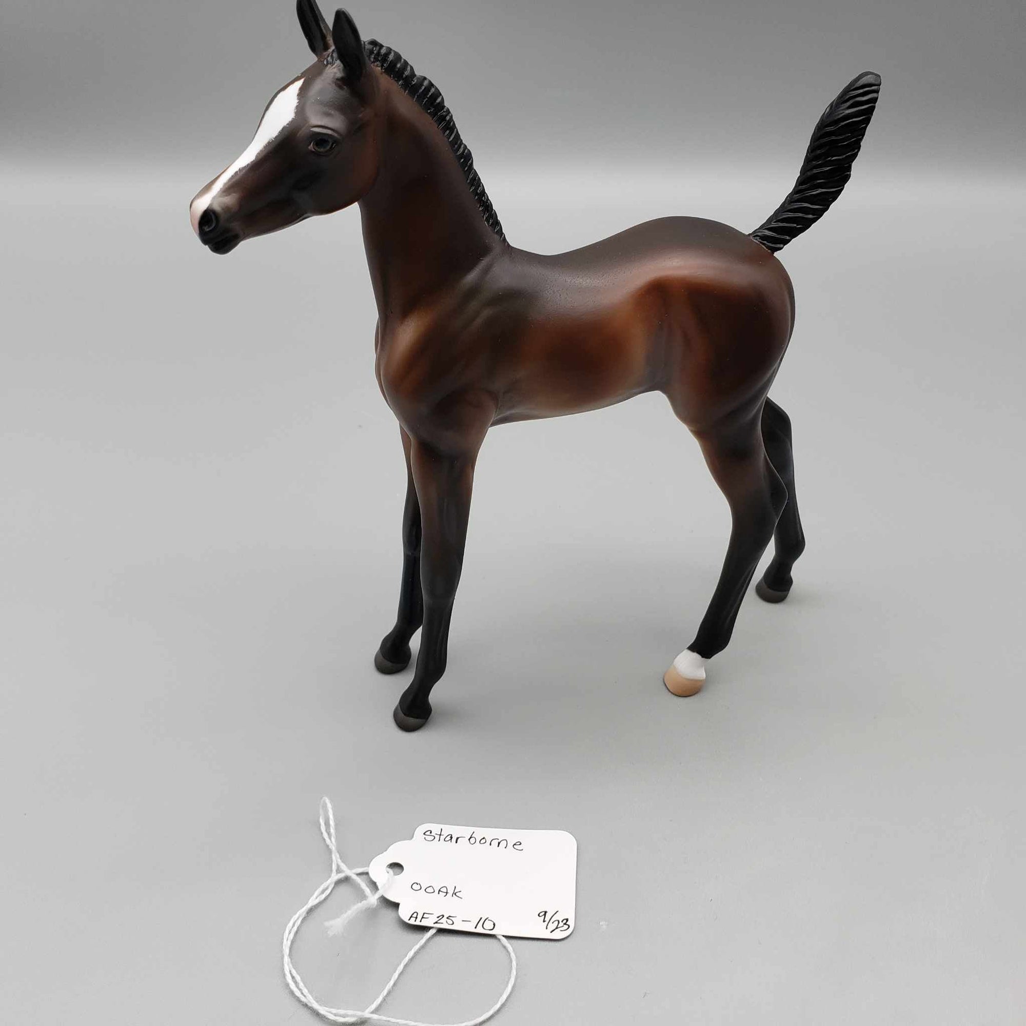 Starborne OOAK Bay Arab Foal By Ashley Palmer Fall Into Autumn Random Drop Sale 9/23