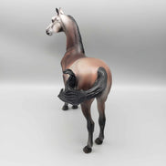 Jolly LE 15 Run Bay Going Grey Morgan By Jess Hamill Holiday Sale HS23