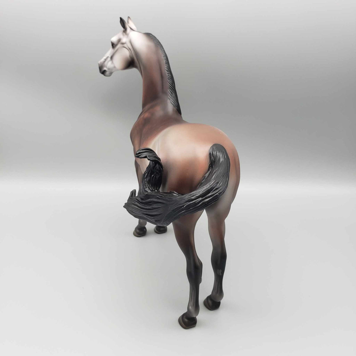 Jolly LE 15 Run Bay Going Grey Morgan By Jess Hamill Holiday Sale HS23