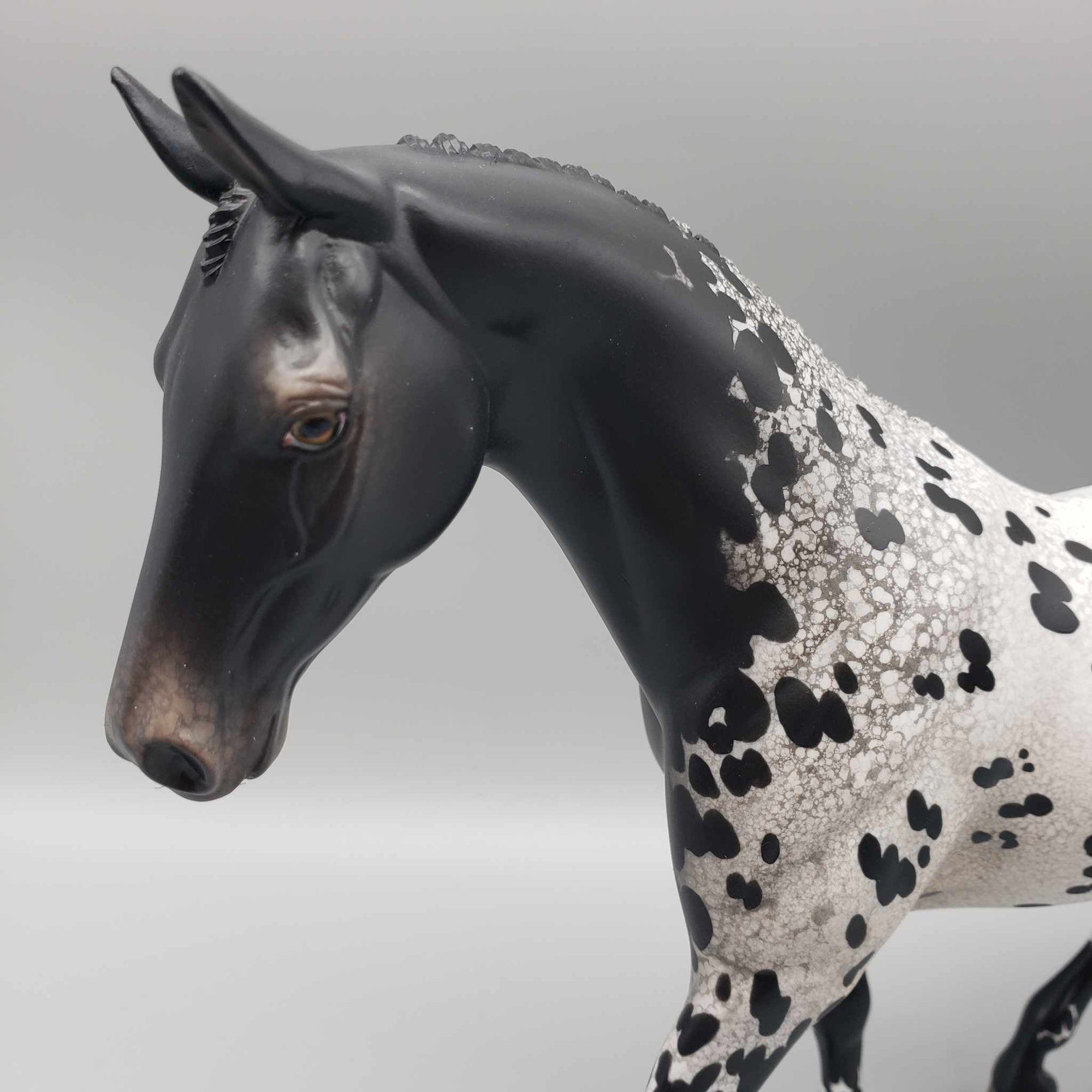 Chimney Cinders OOAK Black Appaloosa Pony By Jess Hamill Holiday Sale HS23