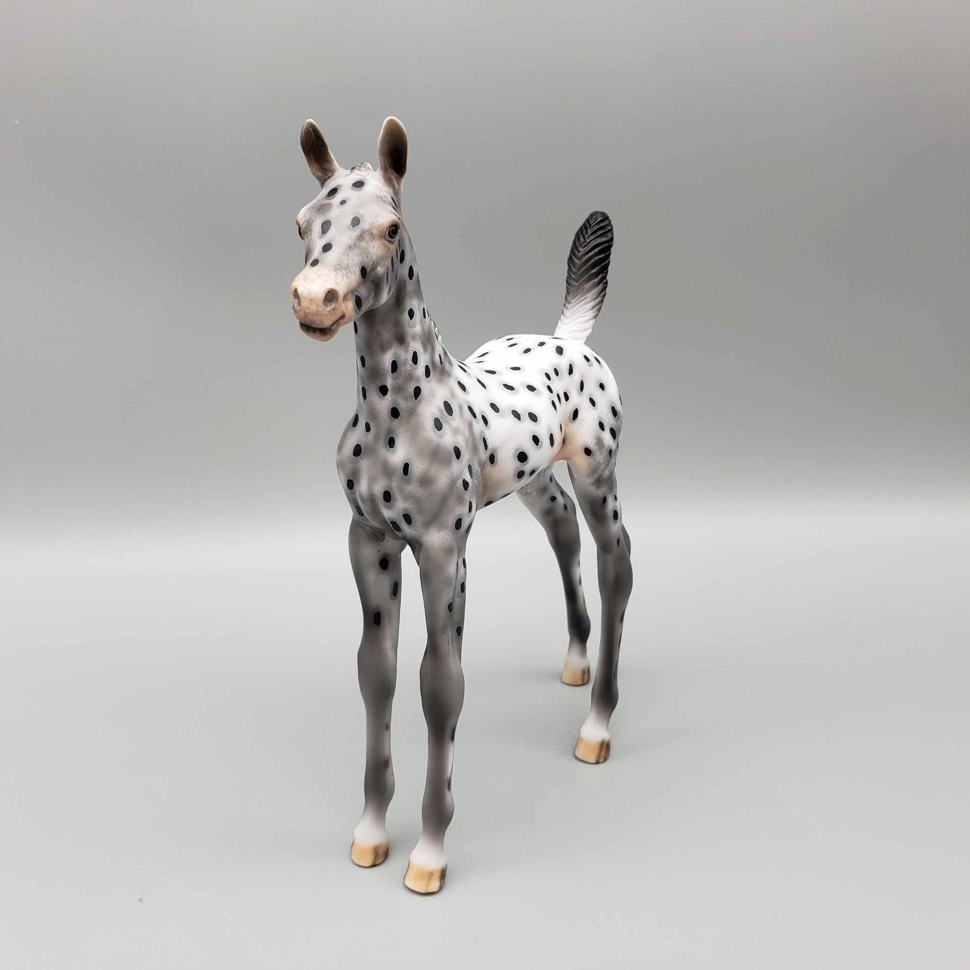 Pebbles OOAK Appaloosa Arab Foal By Dawn Quick Fall Into Autumn Random Drop Sale 9/23