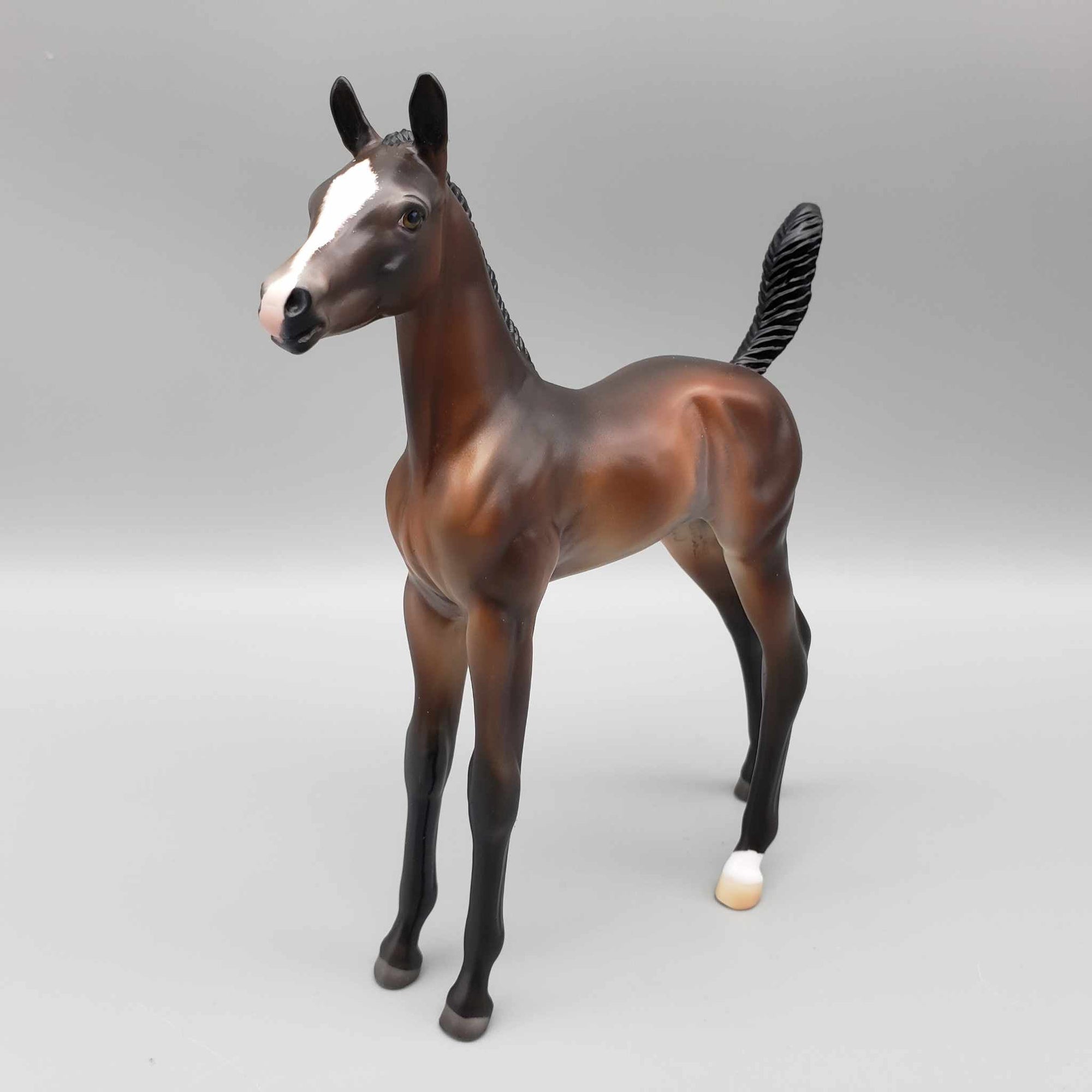 Starborne OOAK Bay Arab Foal By Ashley Palmer Fall Into Autumn Random Drop Sale 9/23
