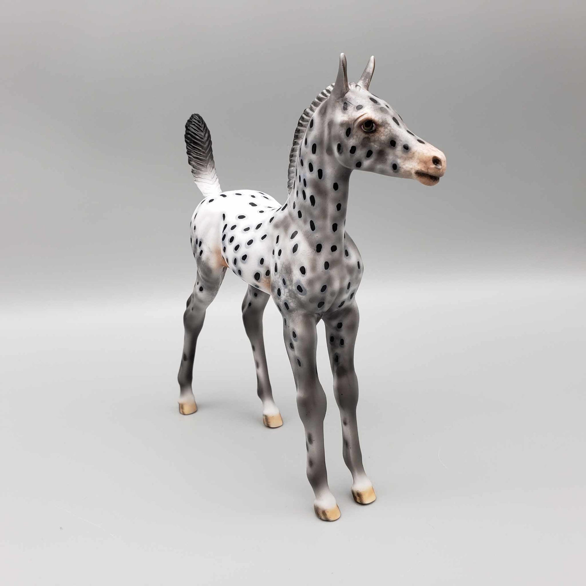 Pebbles OOAK Appaloosa Arab Foal By Dawn Quick Fall Into Autumn Random Drop Sale 9/23
