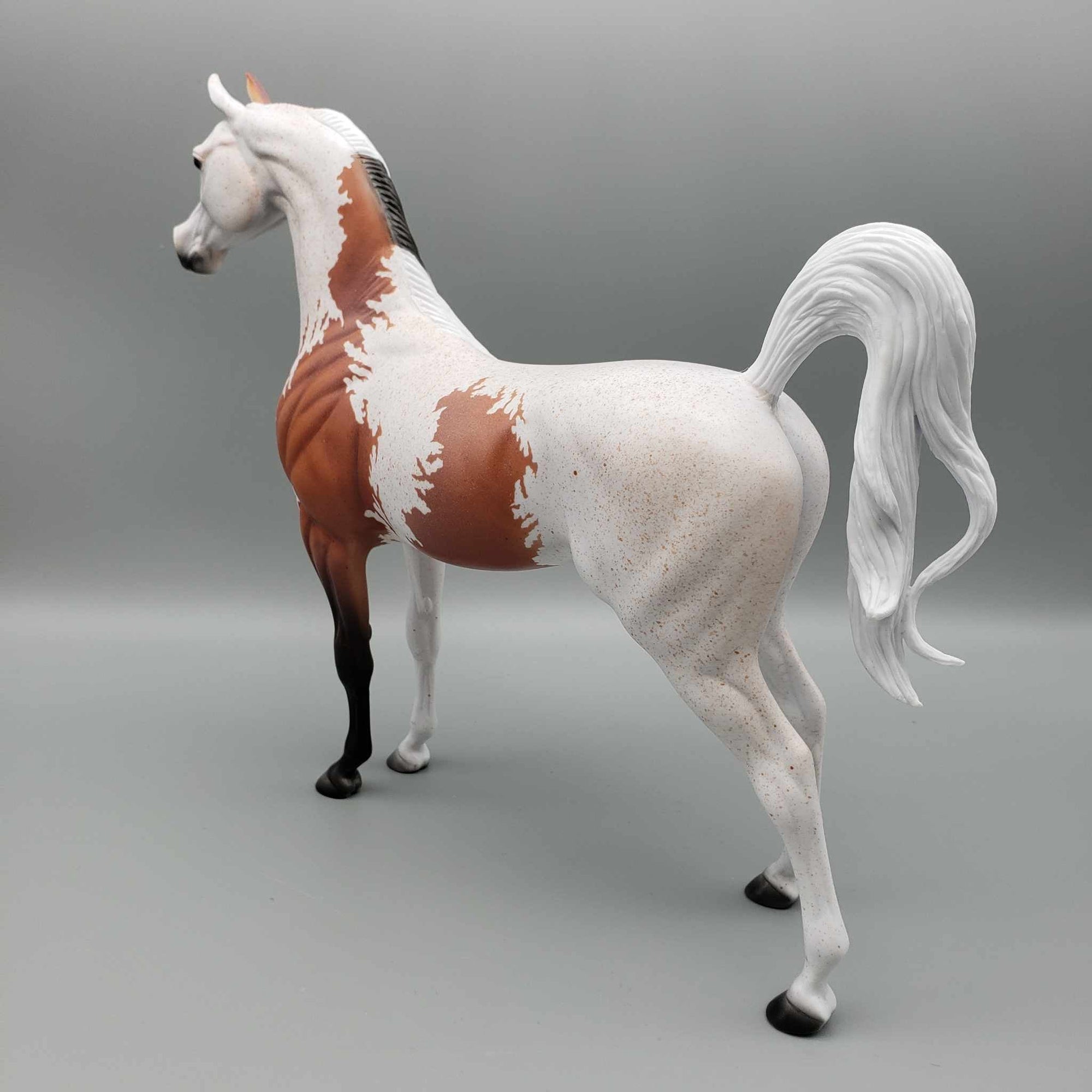 Jersey OOAK Bloody Shoulder Fleabitten Arab Stallion By Dawn Quick Fall Into Autumn Random Drop Sale 9/23