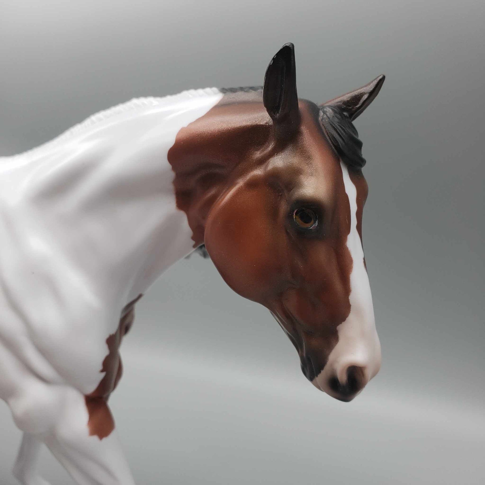 Wassail OOAK  Bay Tobiano Remington W/ Long Mane By Jess Hamill Holiday Sale HS23