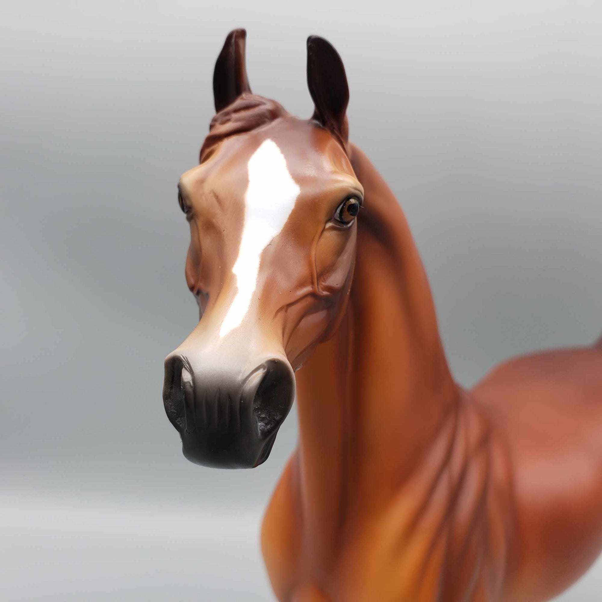 Copper Penny OOAK  Chestnut Arabian by Angela Marleau Fall Into Autumn Random Drop Sale 9/23