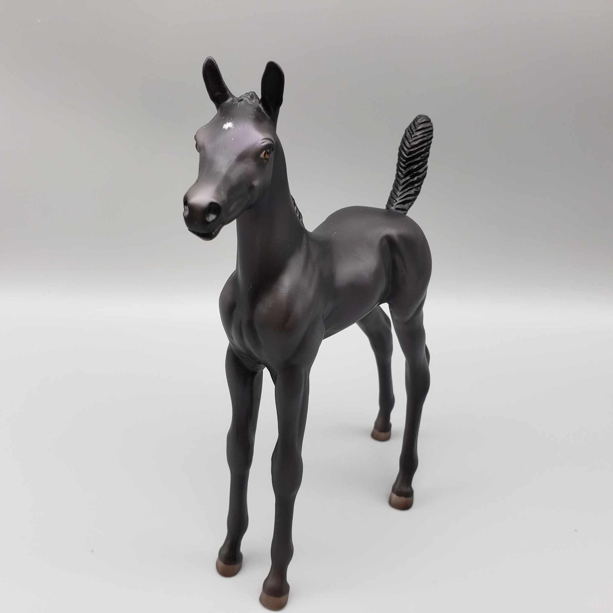 Button OOAK Black with Purple Accents Arab Foal by Ashley Palmer Fall Into Autumn Random Drop Sale 9/23