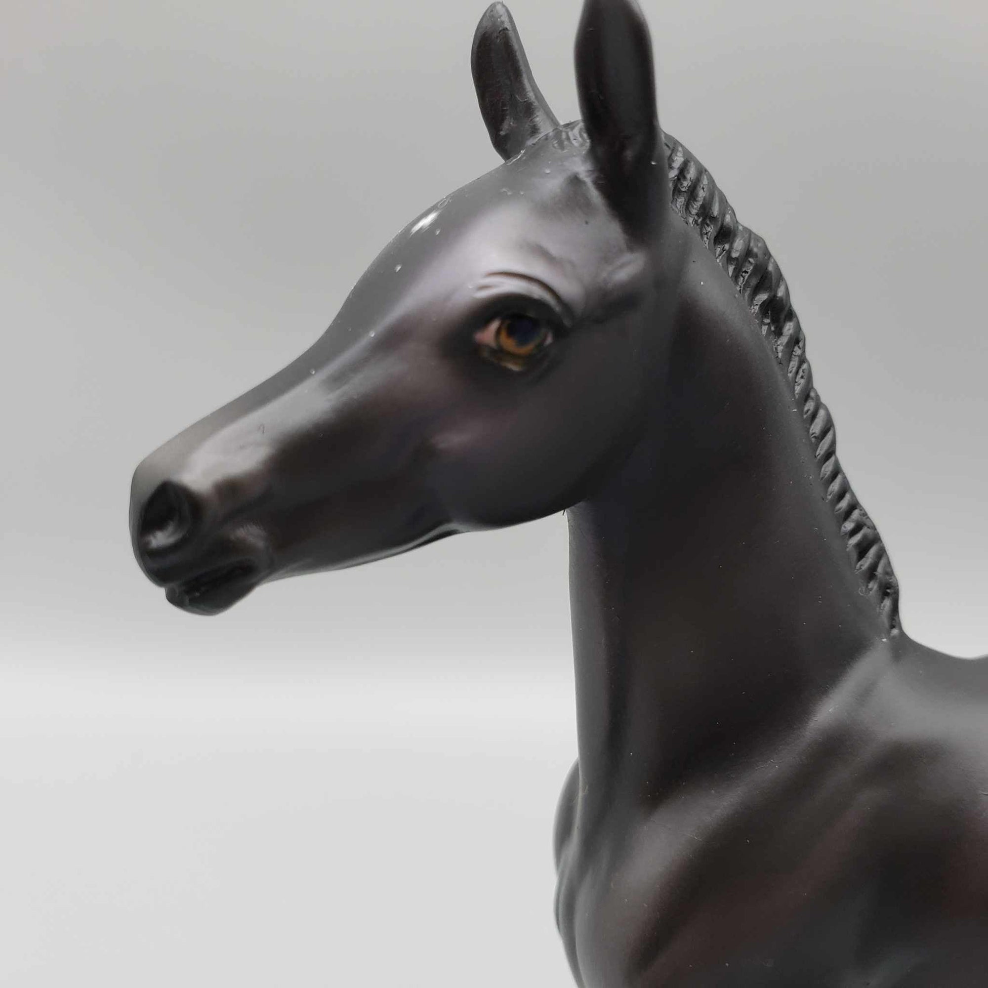 Button OOAK Black with Purple Accents Arab Foal by Ashley Palmer Fall Into Autumn Random Drop Sale 9/23