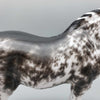 Fresca OOAK Black Sabino Heavy Draft by Sheryl Leisure Best Offers 9/18/23