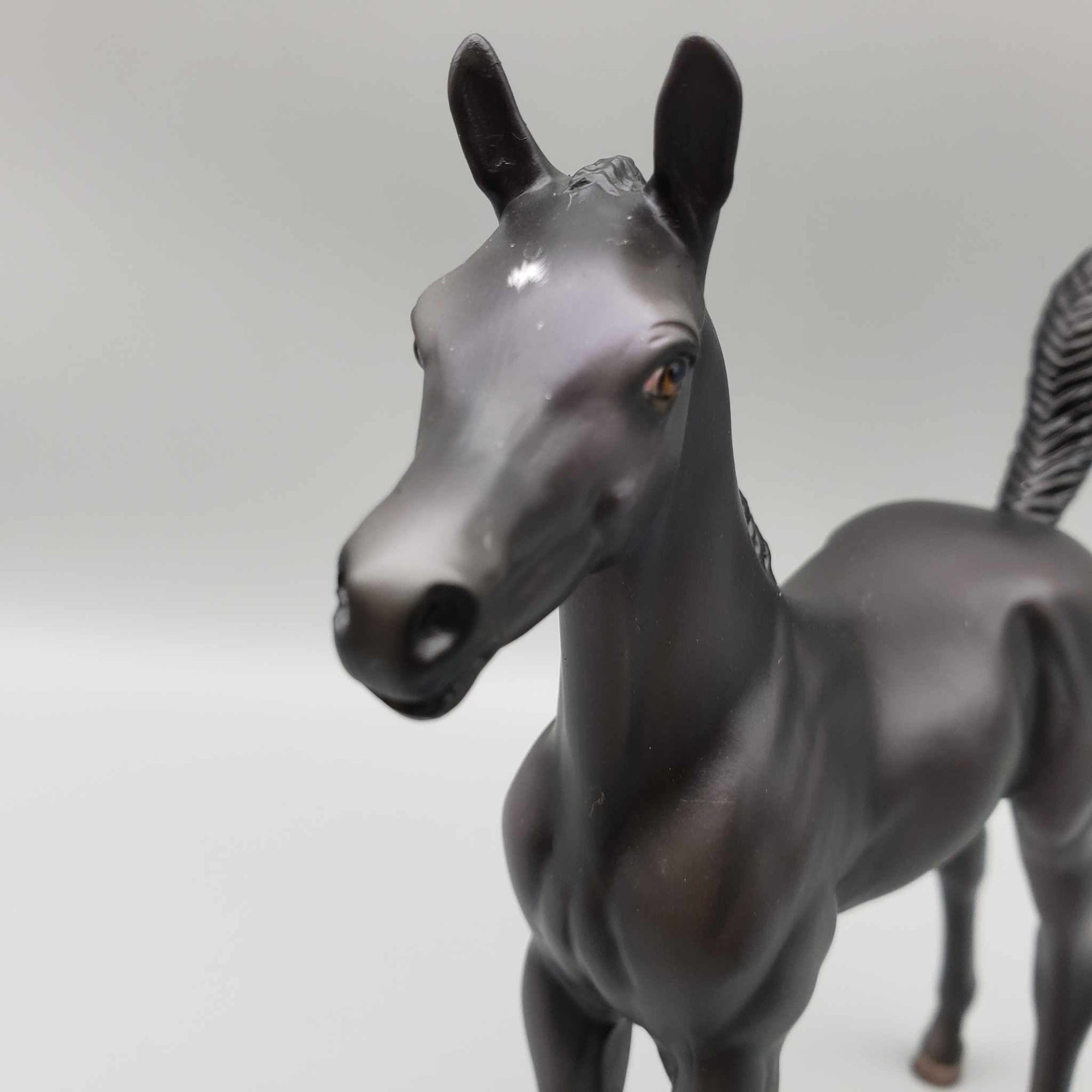 Button OOAK Black with Purple Accents Arab Foal by Ashley Palmer Fall Into Autumn Random Drop Sale 9/23