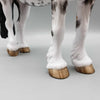 Fresca OOAK Black Sabino Heavy Draft by Sheryl Leisure Best Offers 9/18/23
