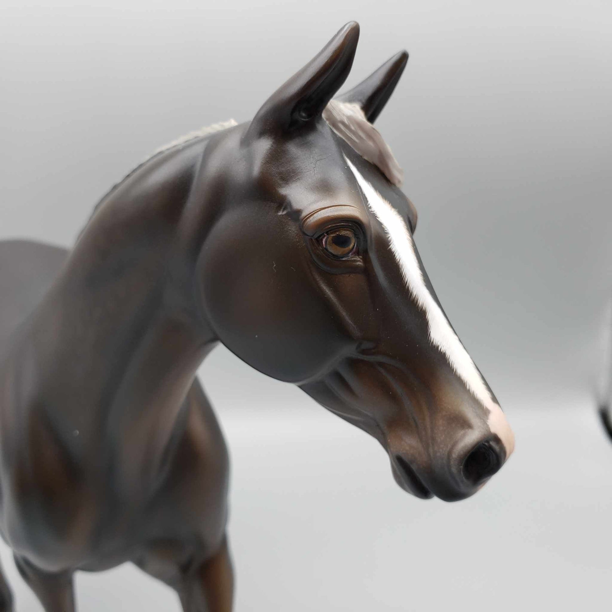 Tortoise OOAK Silver Dapple Palouse By Angela Marleau Best Offers 9/18/23