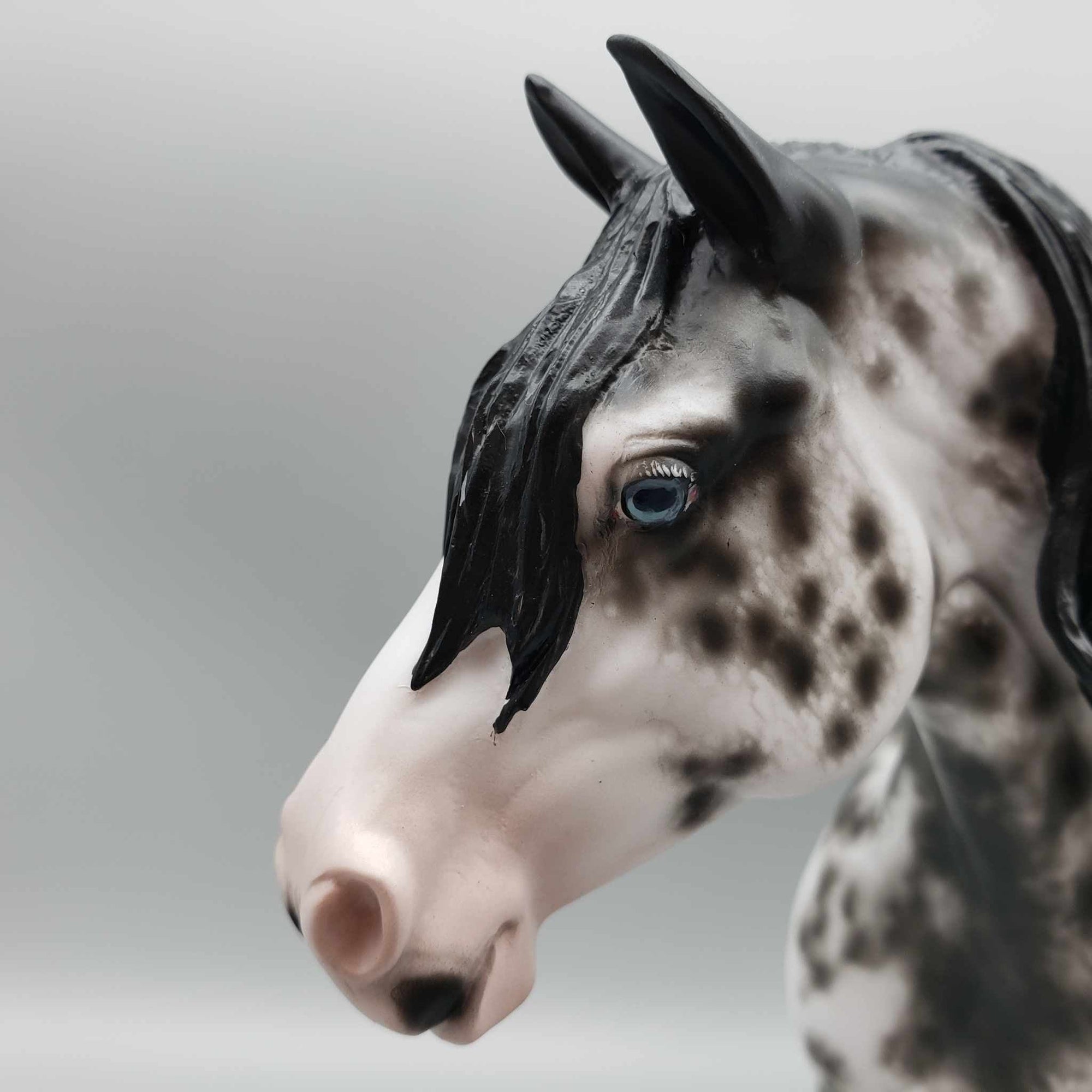 Fresca OOAK Black Sabino Heavy Draft by Sheryl Leisure Best Offers 9/18/23