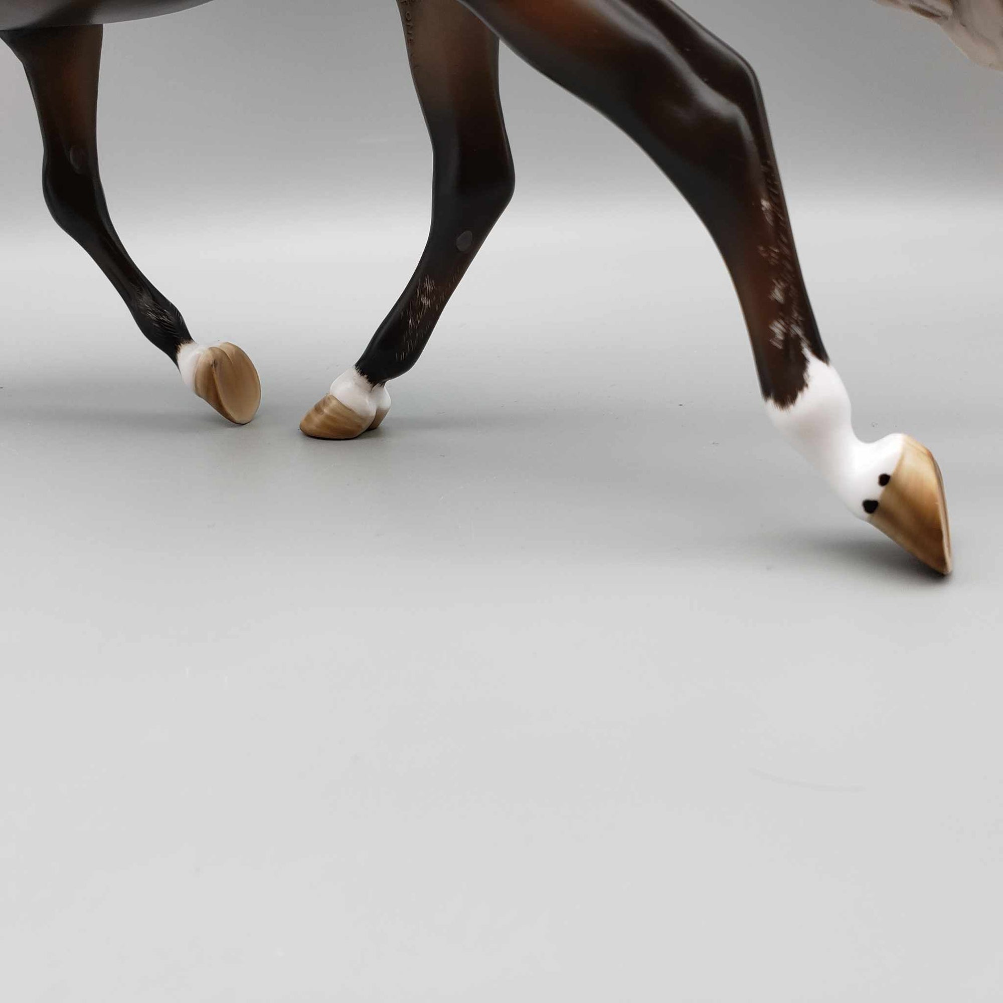 Tortoise OOAK Silver Dapple Palouse By Angela Marleau Best Offers 9/18/23