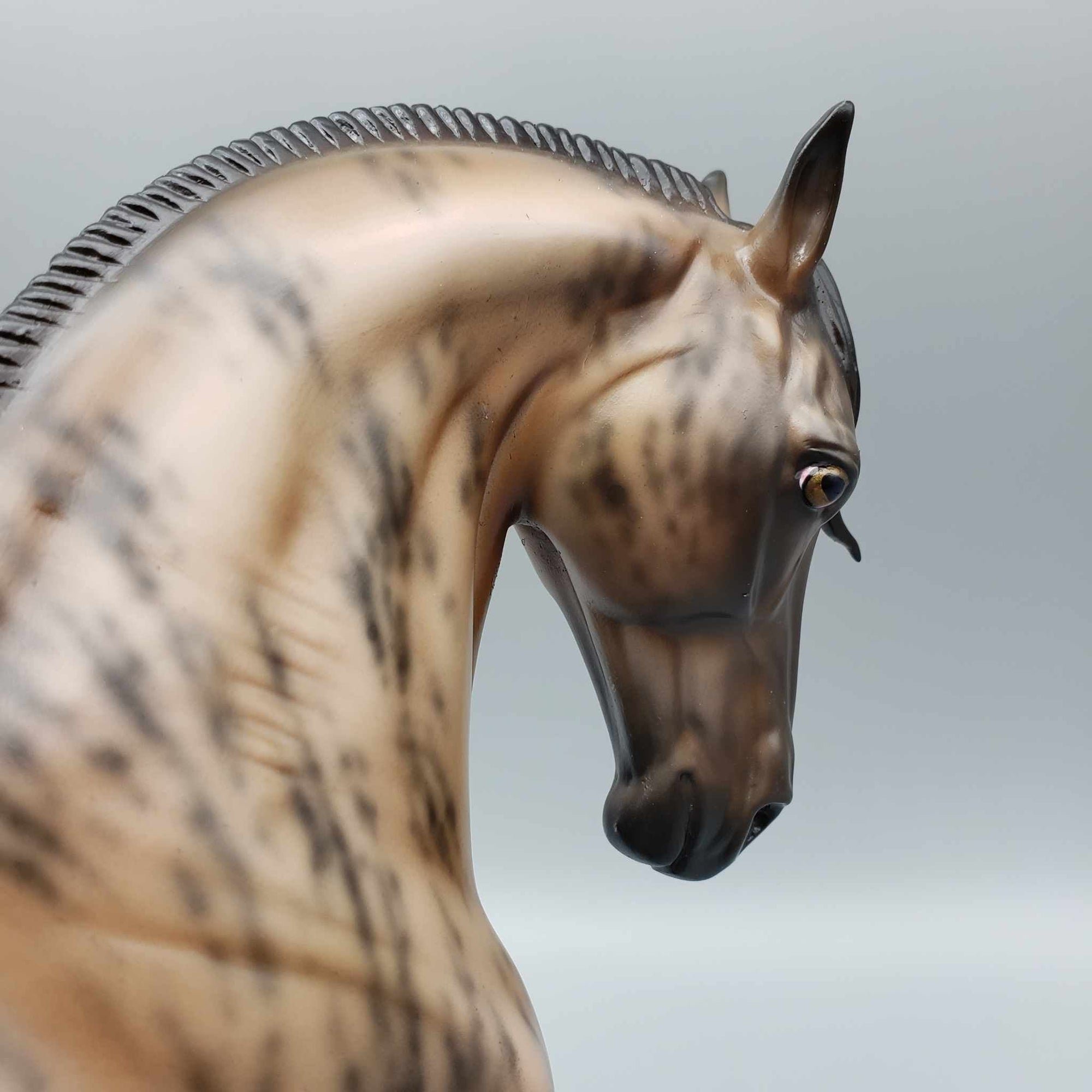 Tarrasque OOAK Skewed Dun/Brindle Andalusian By Jess Hamill  Best Offers 9/18/23