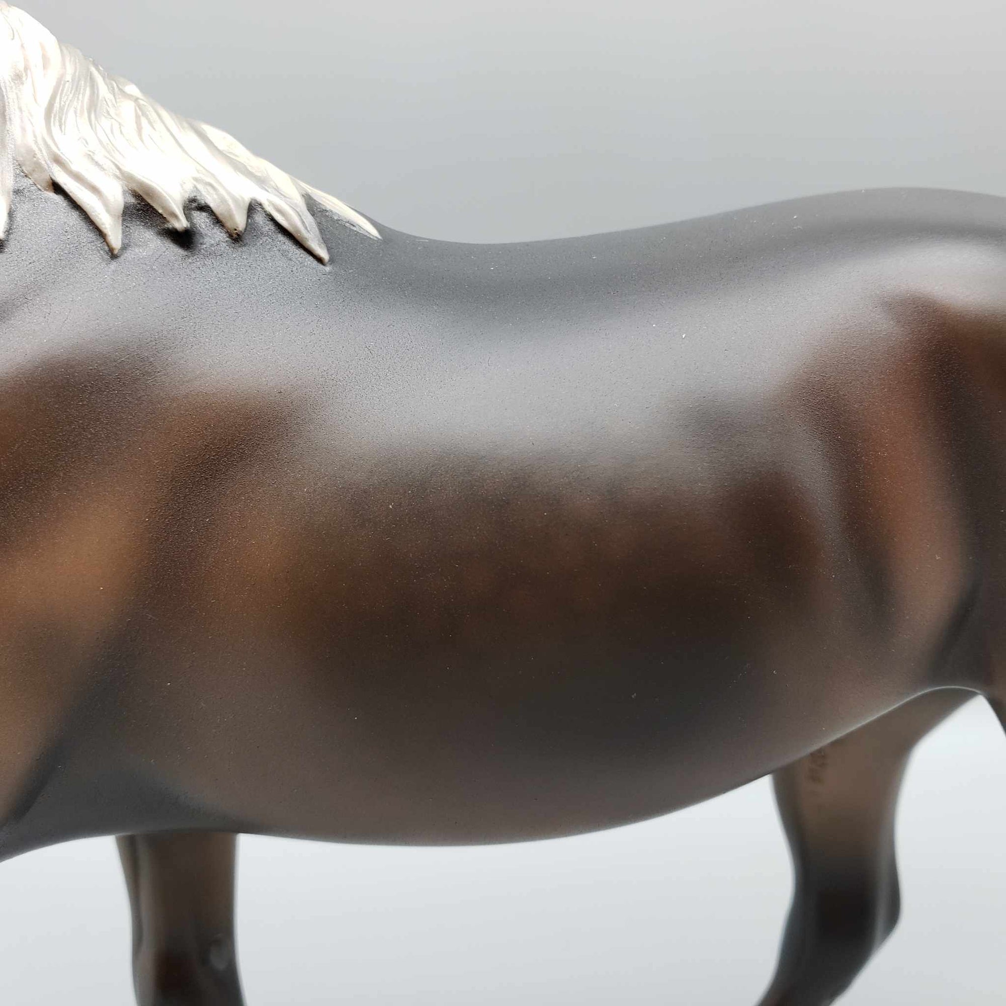 Tortoise OOAK Silver Dapple Palouse By Angela Marleau Best Offers 9/18/23