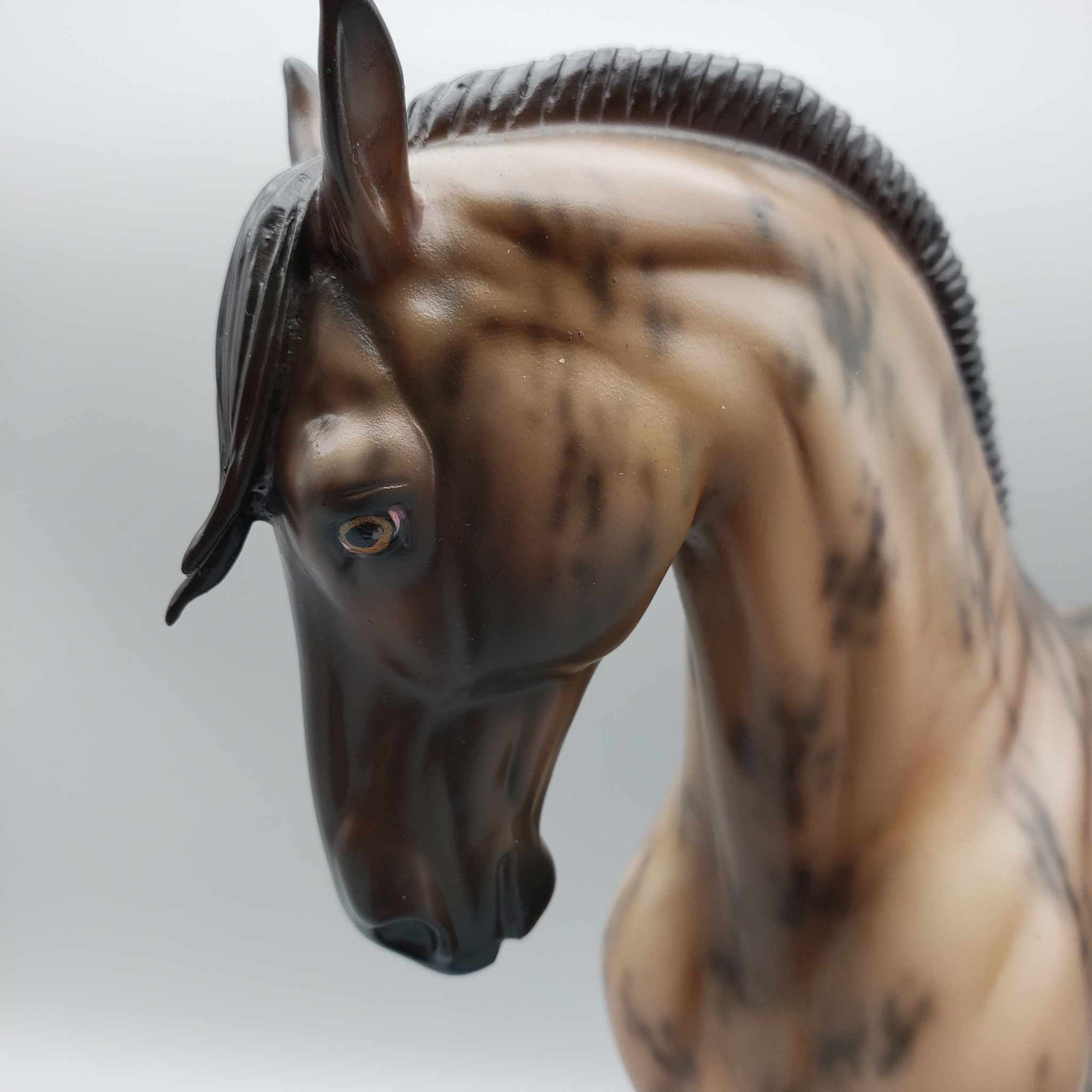 Tarrasque OOAK Skewed Dun/Brindle Andalusian By Jess Hamill  Best Offers 9/18/23