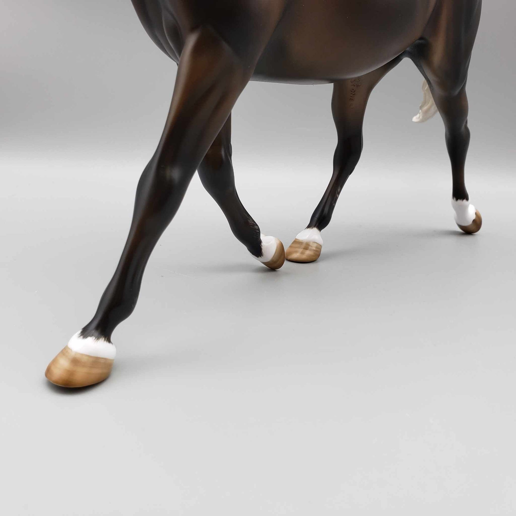 Tortoise OOAK Silver Dapple Palouse By Angela Marleau Best Offers 9/18/23