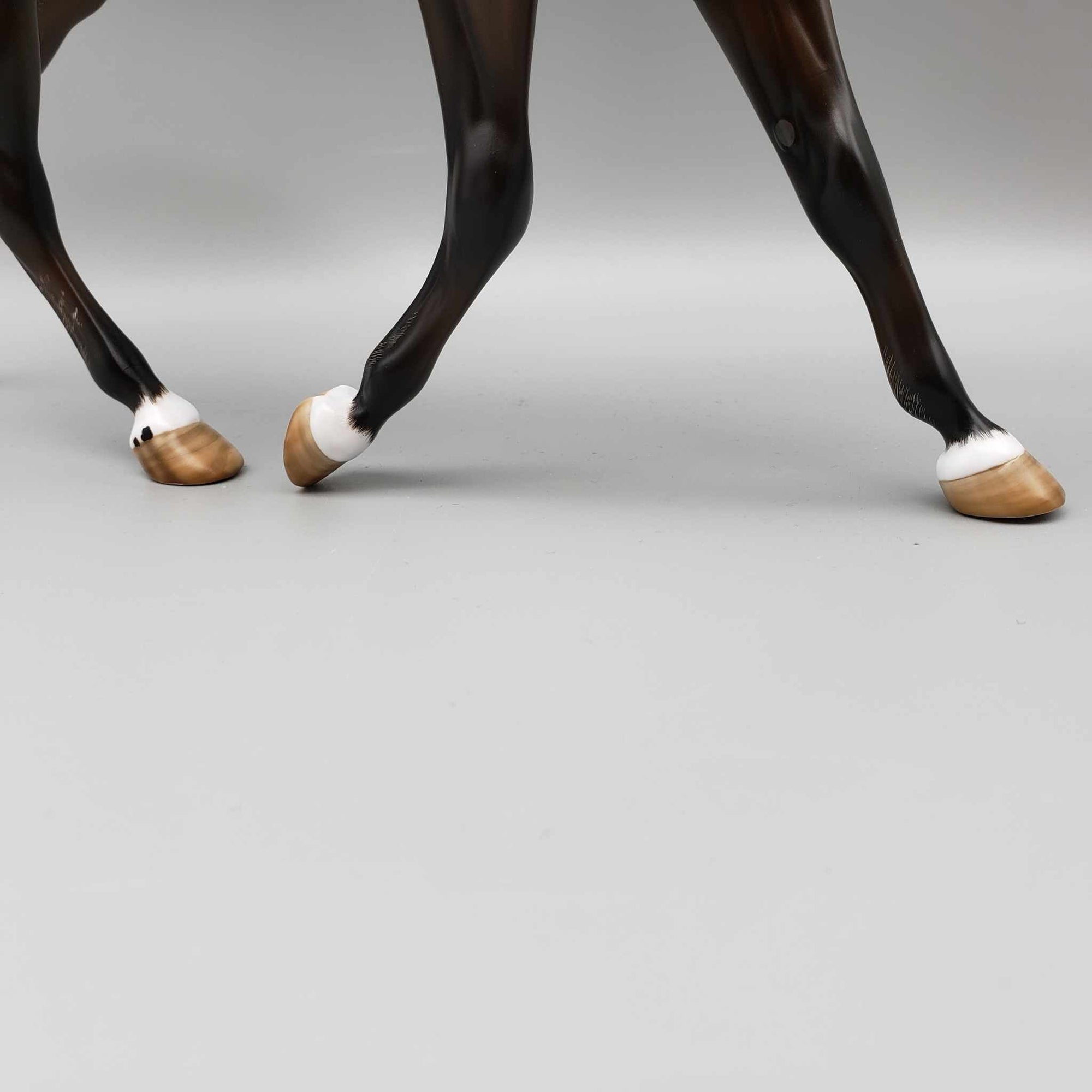 Tortoise OOAK Silver Dapple Palouse By Angela Marleau Best Offers 9/18/23