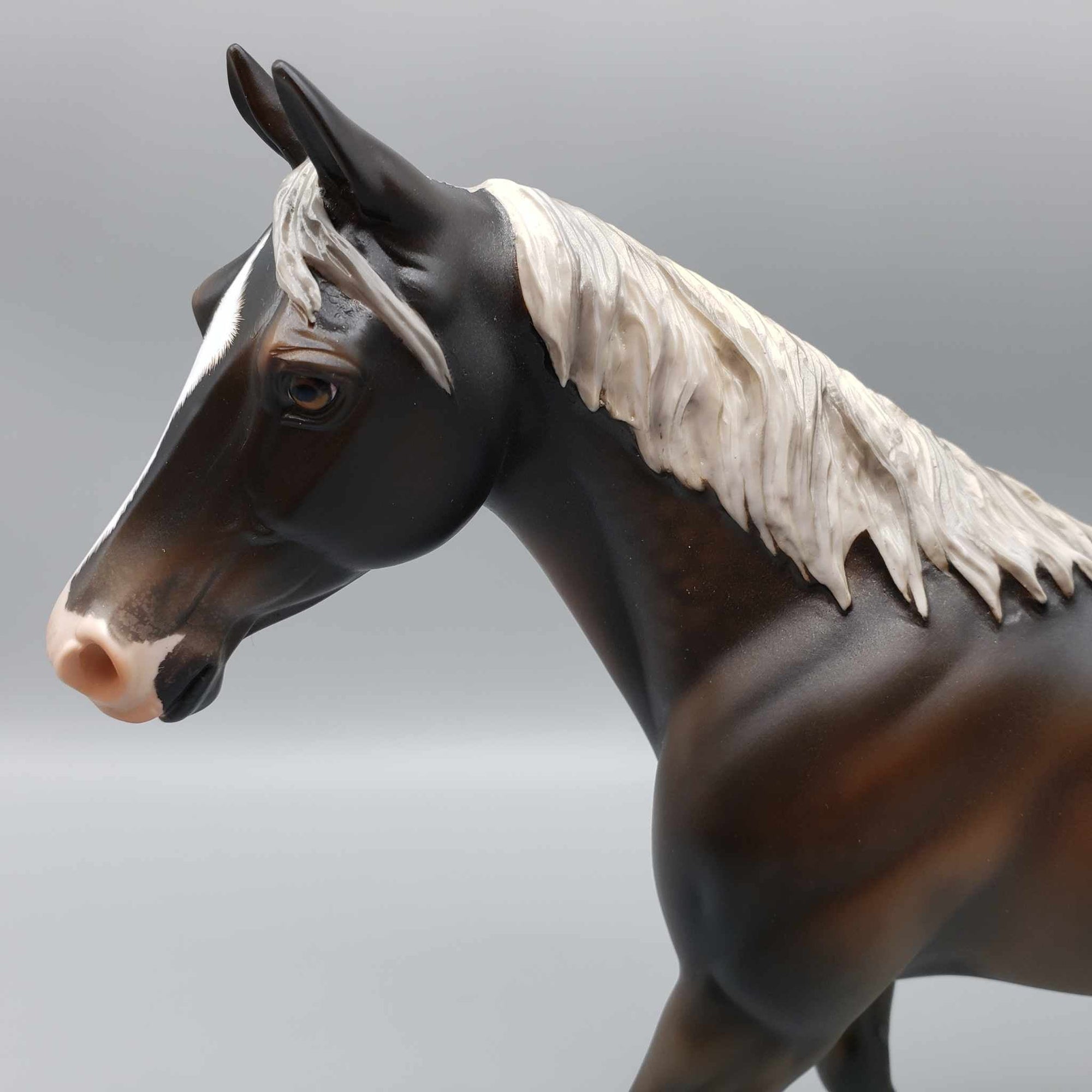 Tortoise OOAK Silver Dapple Palouse By Angela Marleau Best Offers 9/18/23