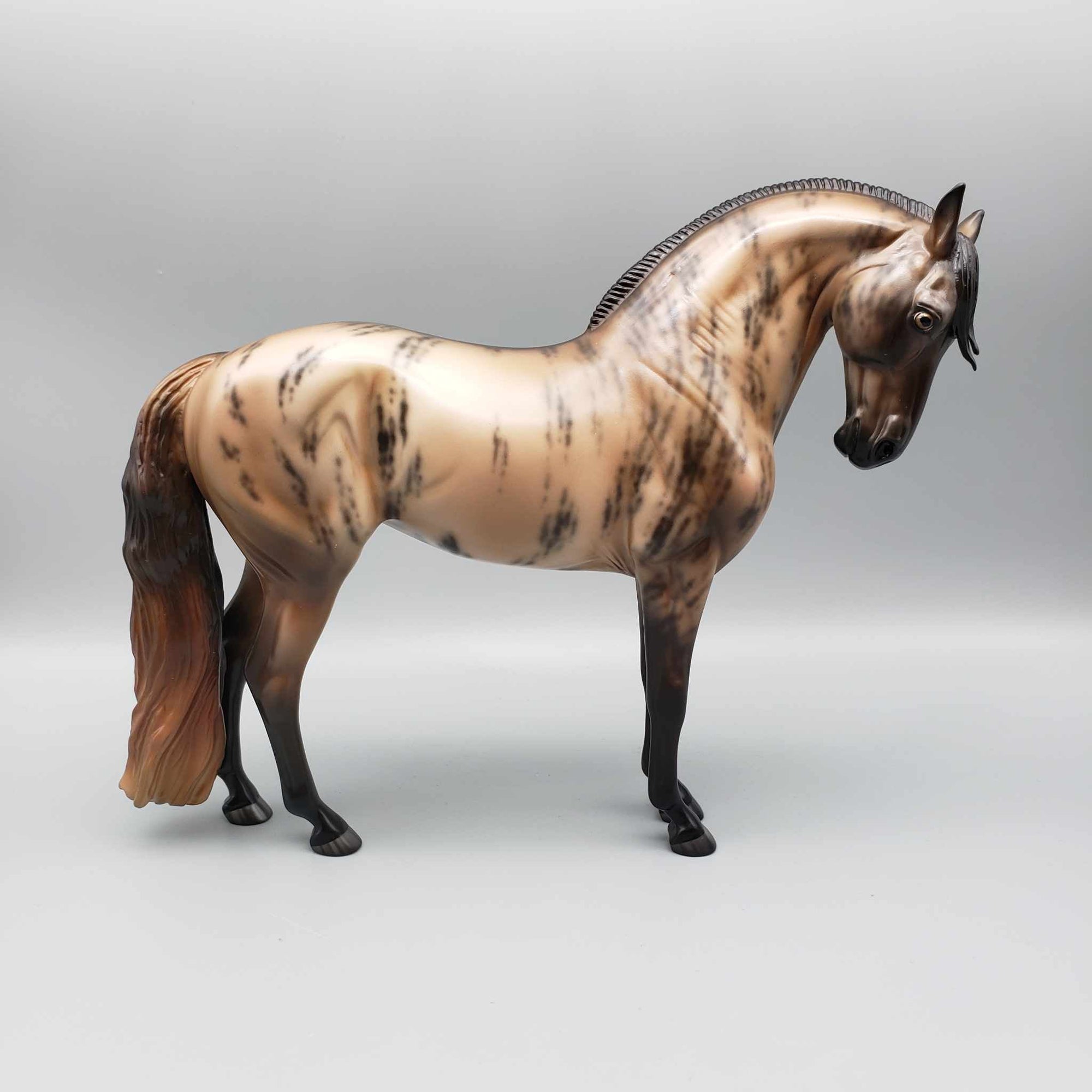 Tarrasque OOAK Skewed Dun/Brindle Andalusian By Jess Hamill  Best Offers 9/18/23