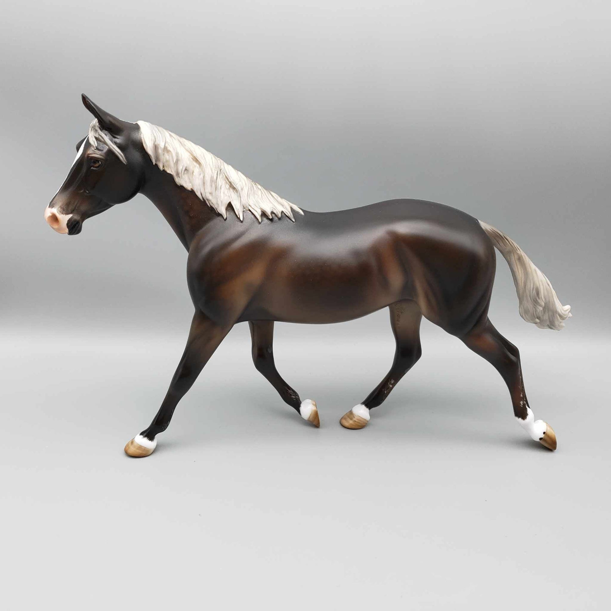 Tortoise OOAK Silver Dapple Palouse By Angela Marleau Best Offers 9/18/23