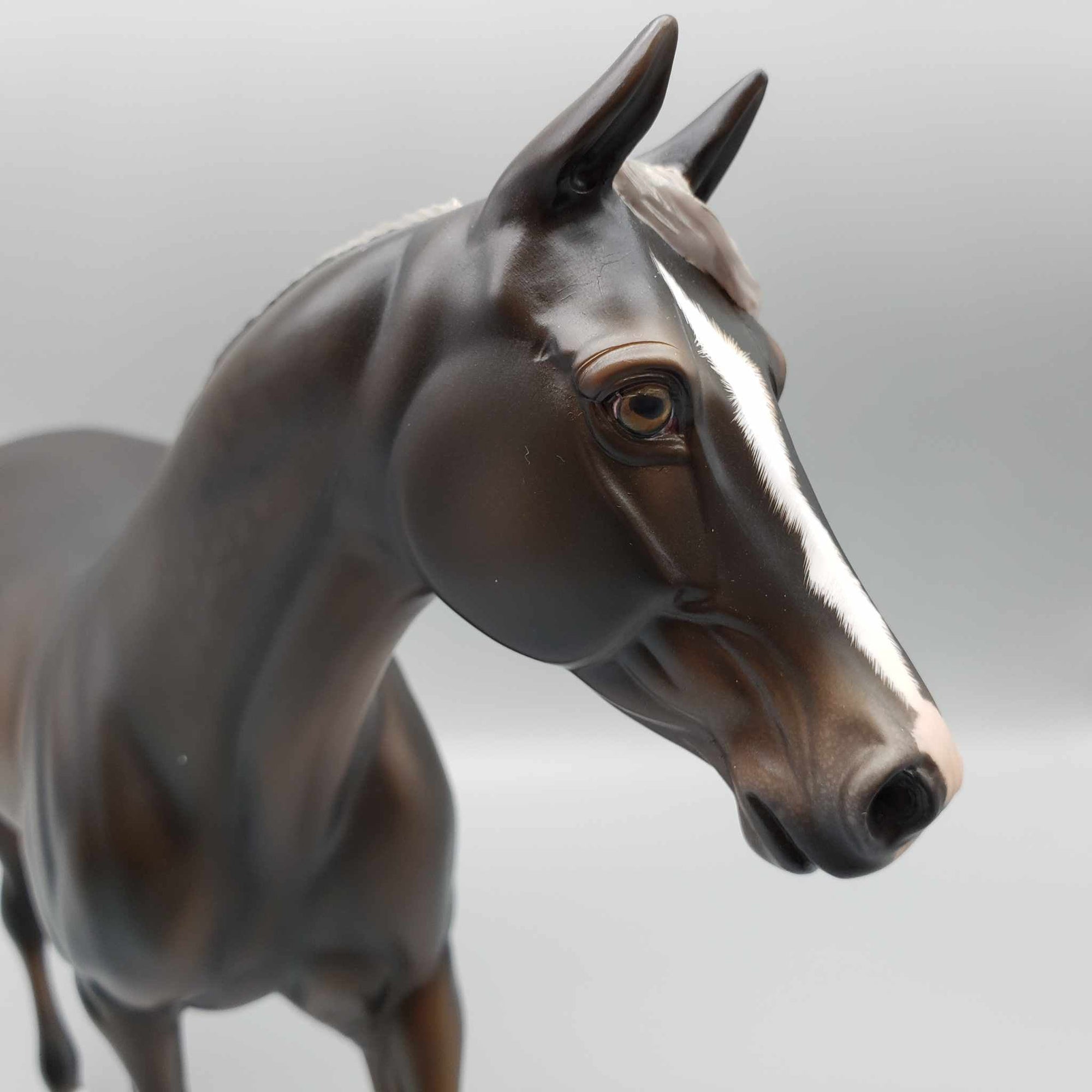 Tortoise OOAK Silver Dapple Palouse By Angela Marleau Best Offers 9/18/23