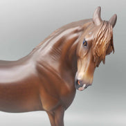 Hellcat OOAK Dark Dappled Chestnut Extreme Custom Andalusian By Caroline Boydston Best Offer 11/20/23