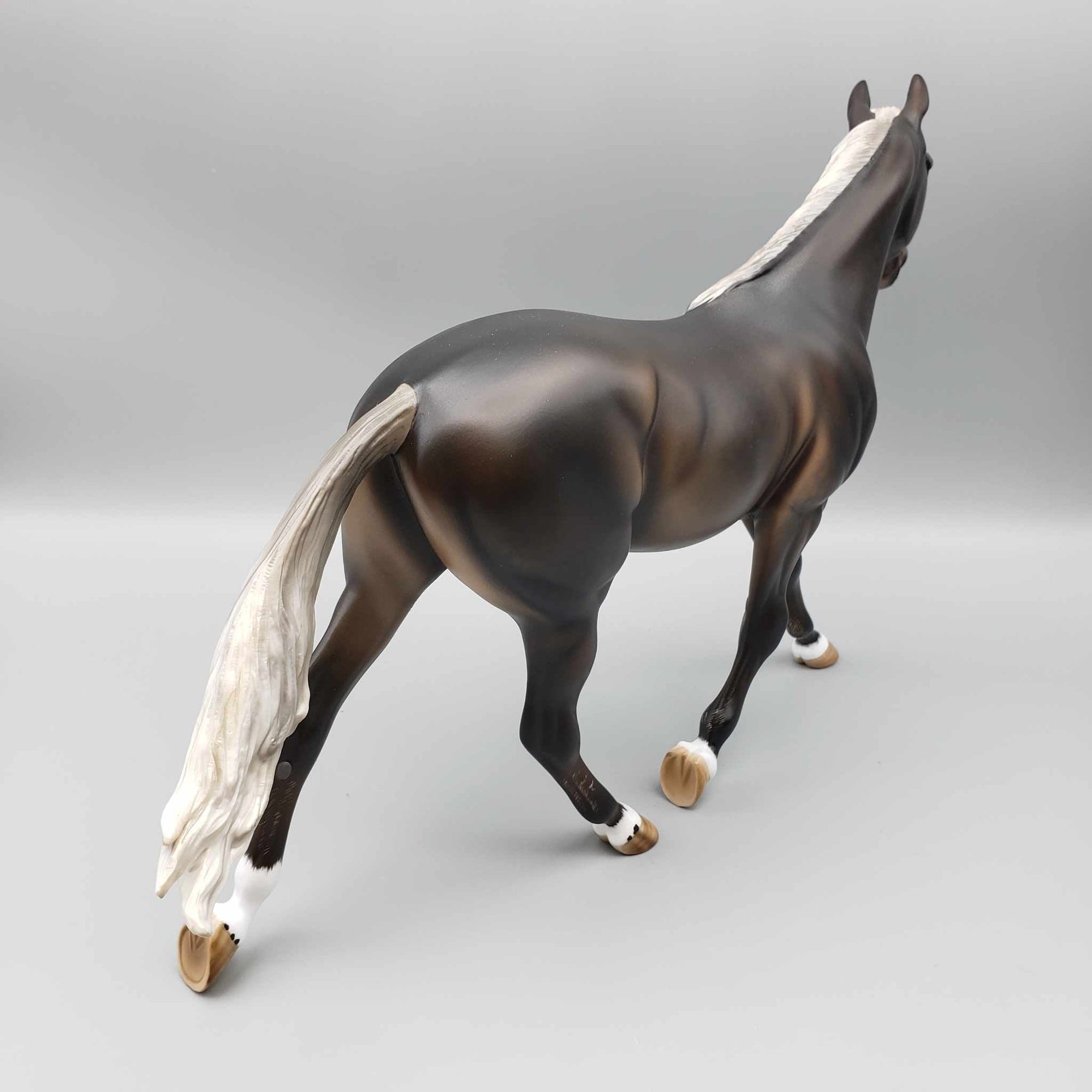 Tortoise OOAK Silver Dapple Palouse By Angela Marleau Best Offers 9/18/23