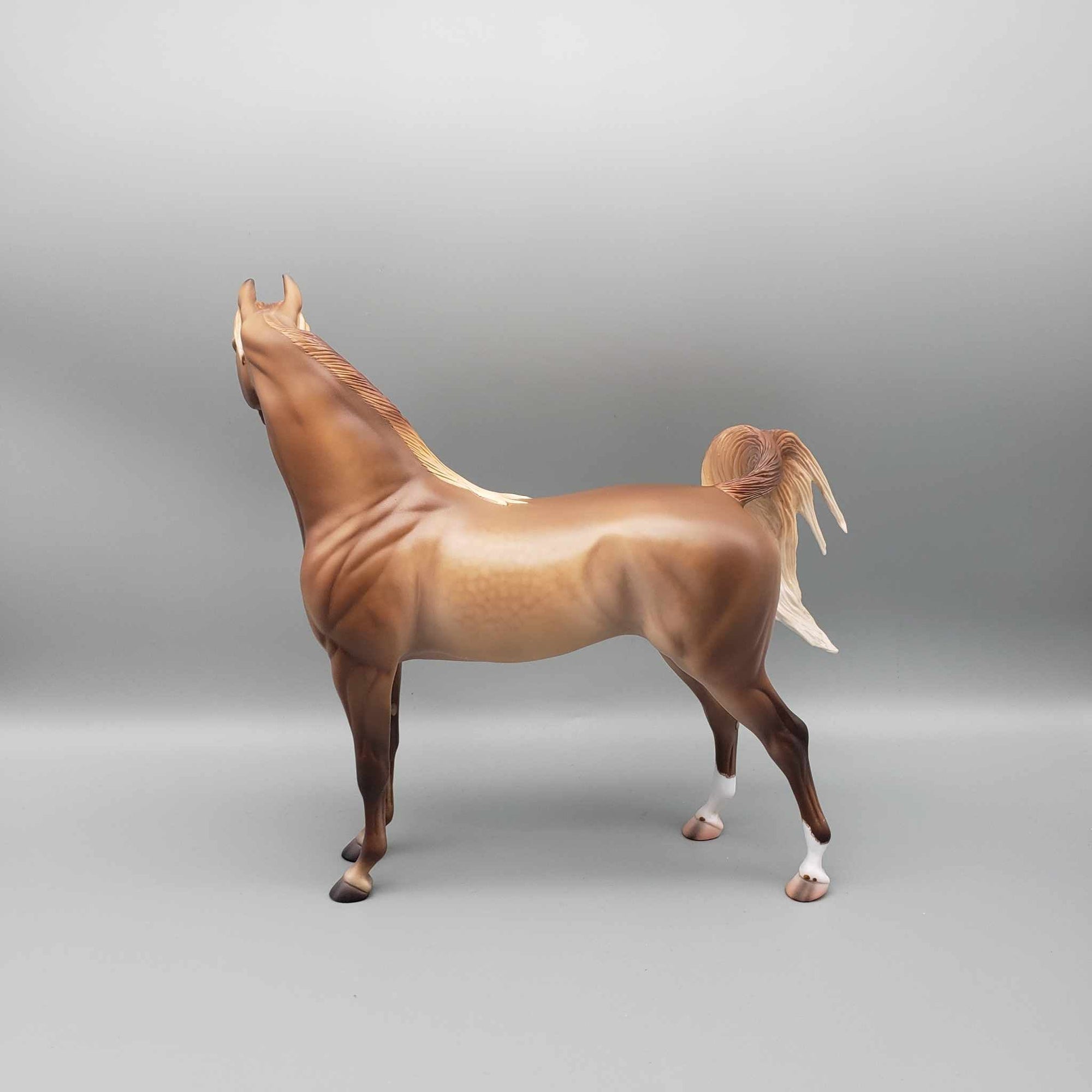 Liberator OOAK Dappled Rose Grey Arabian Stallion By Caroline Boydston Best Offer 11/20/23