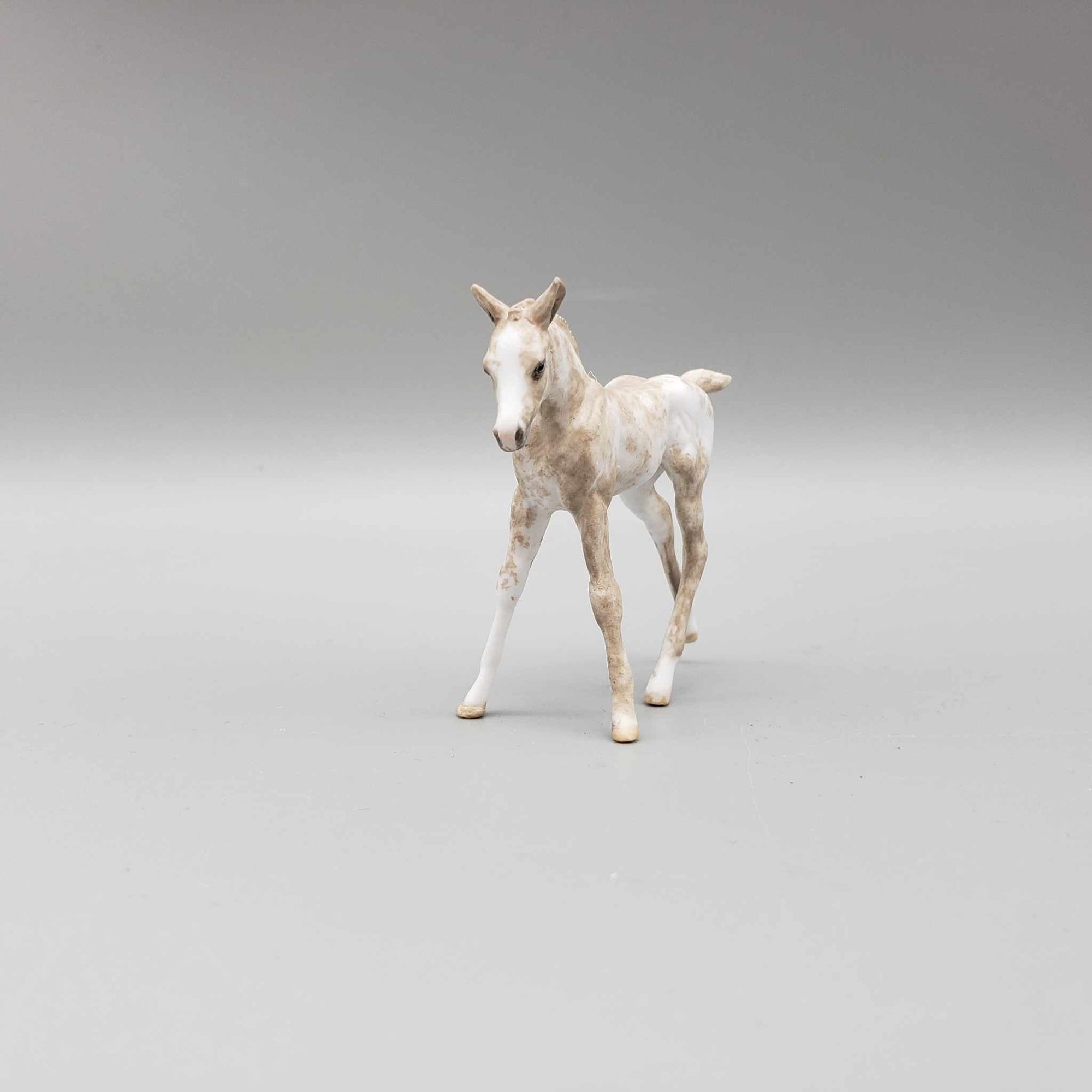 Bevan OOAK Chip Foal Hand Painted and Customized by Andrea Thomason HS23