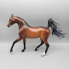 Cessna OOAK Dappled Bay with Silver Tail Arabian Mare By Caroline Boydston Best Offer 11/6/23
